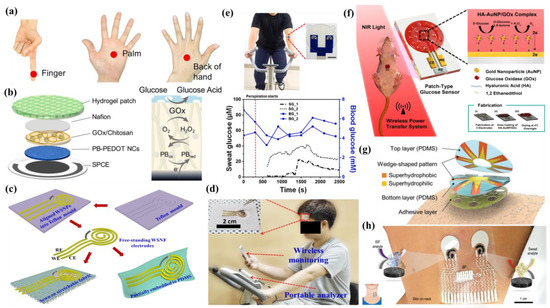Molecules 28 01259 g026