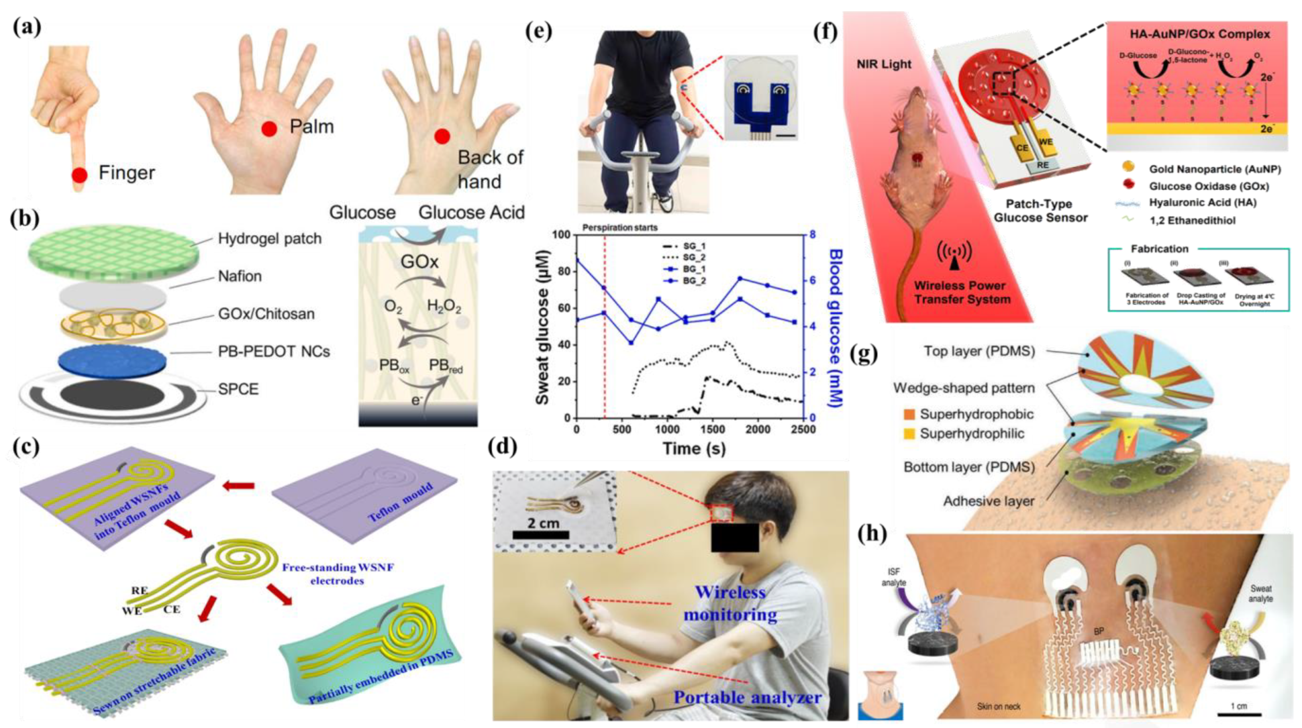 Molecules 28 01259 g026