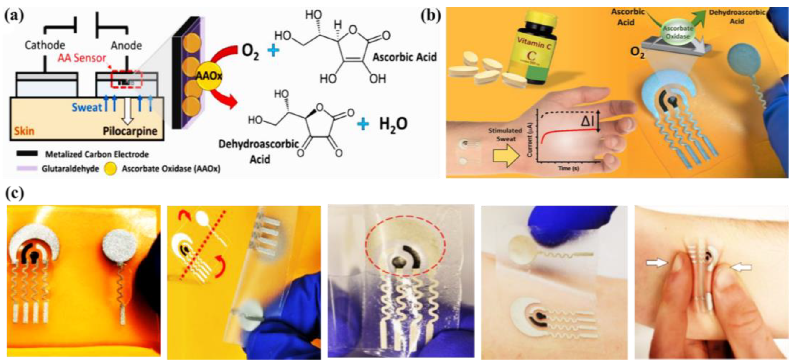 Molecules 28 01259 g027