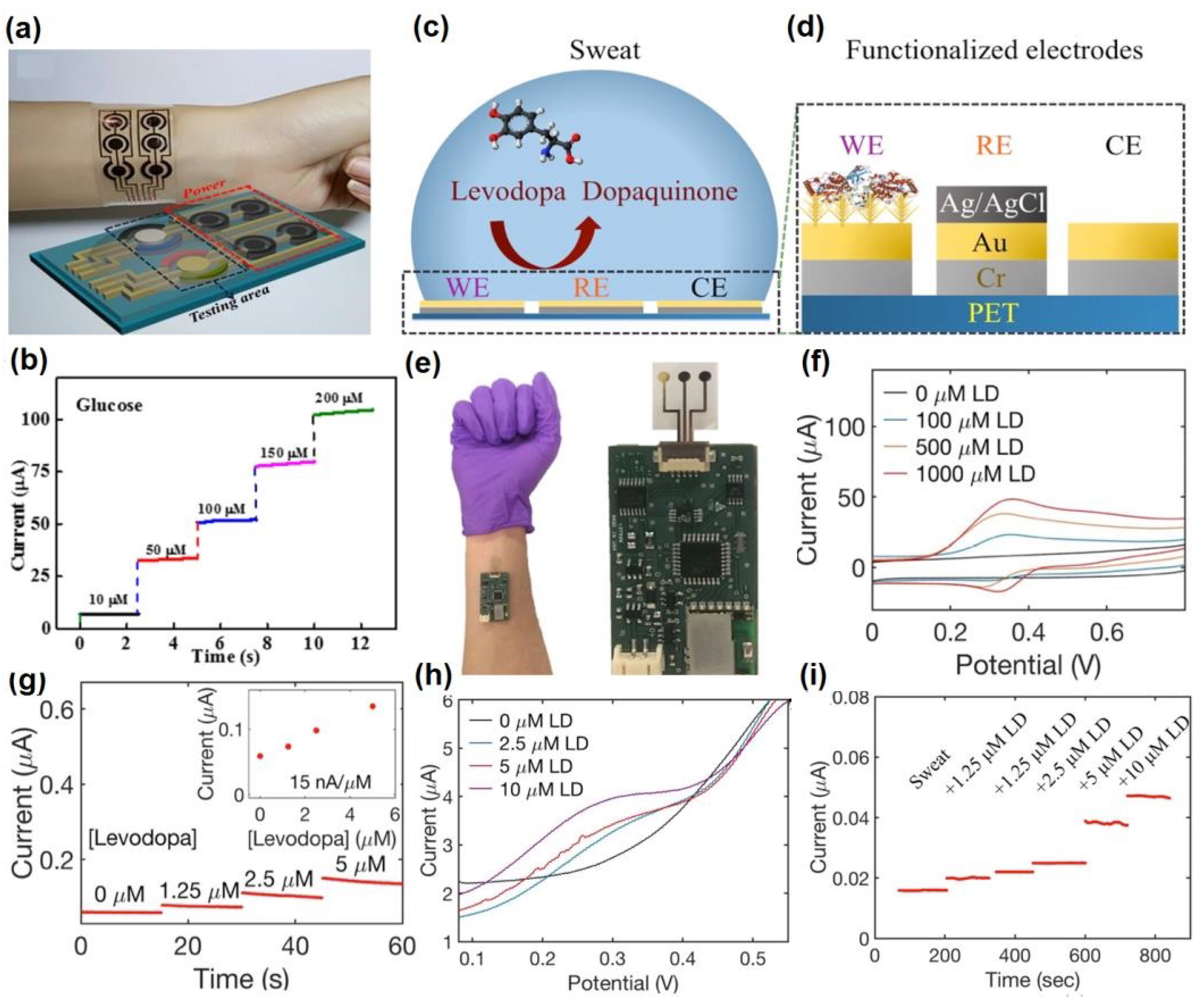 Molecules 28 01259 g028