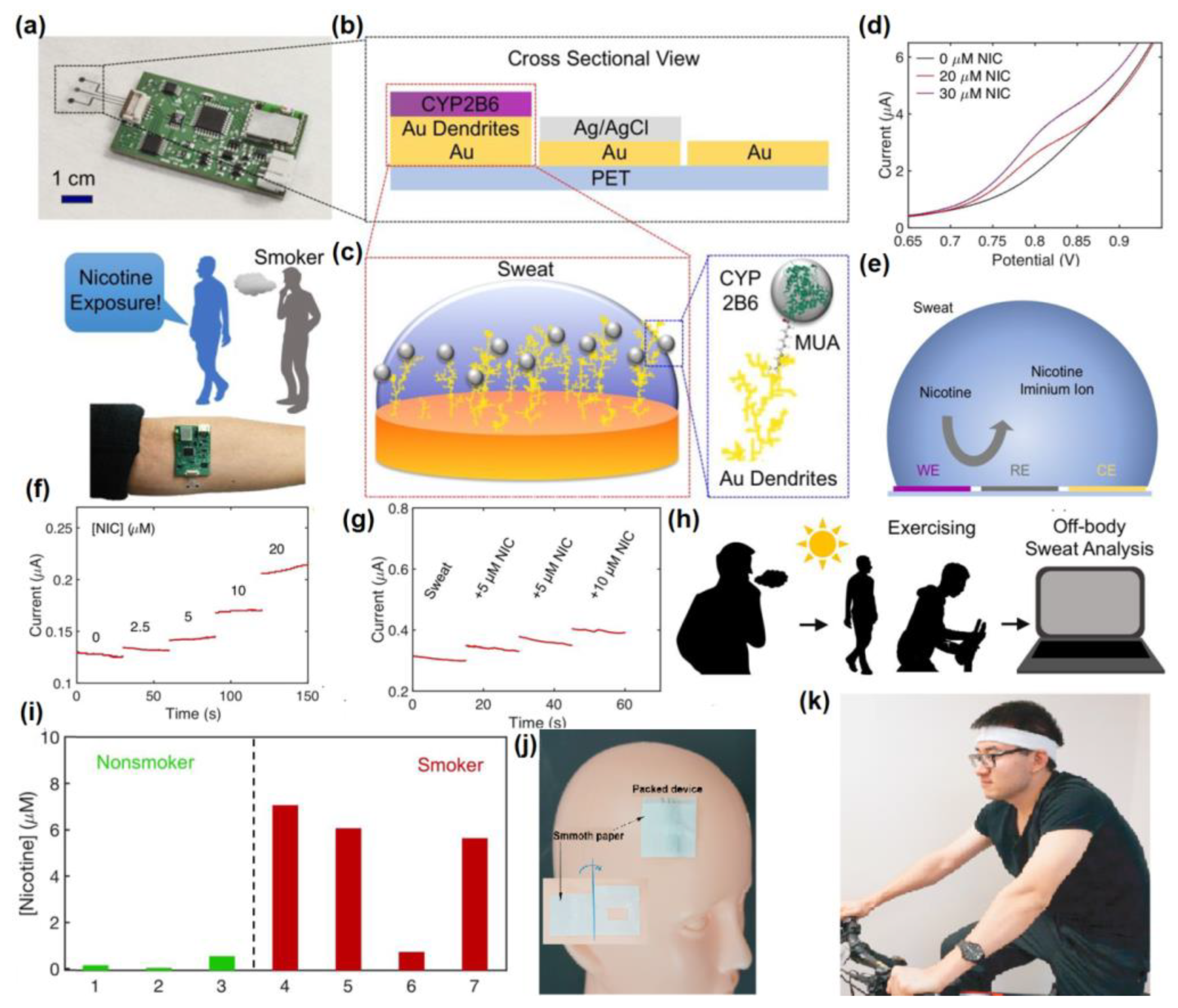 Molecules 28 01259 g029
