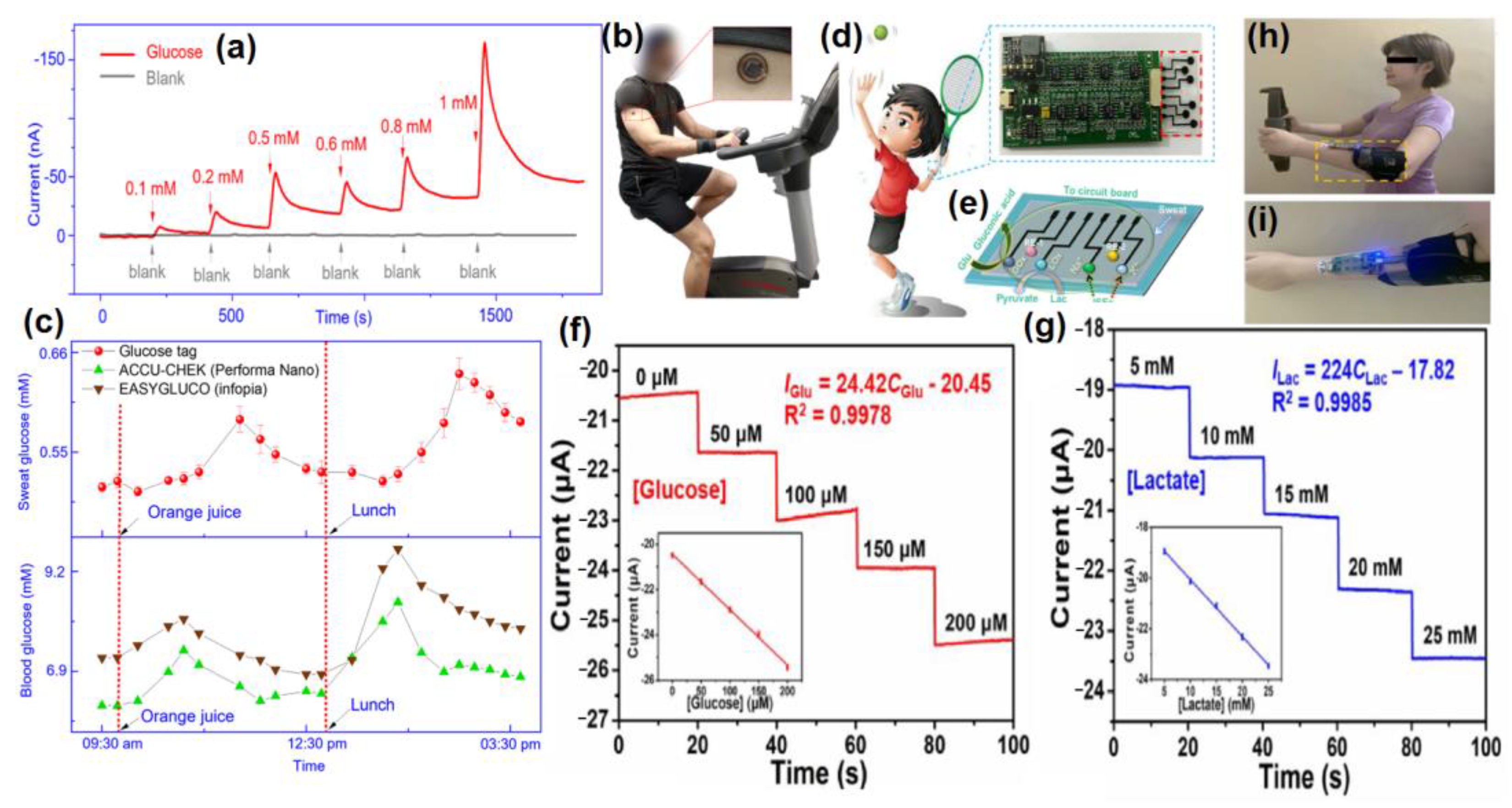 Molecules 28 01259 g031