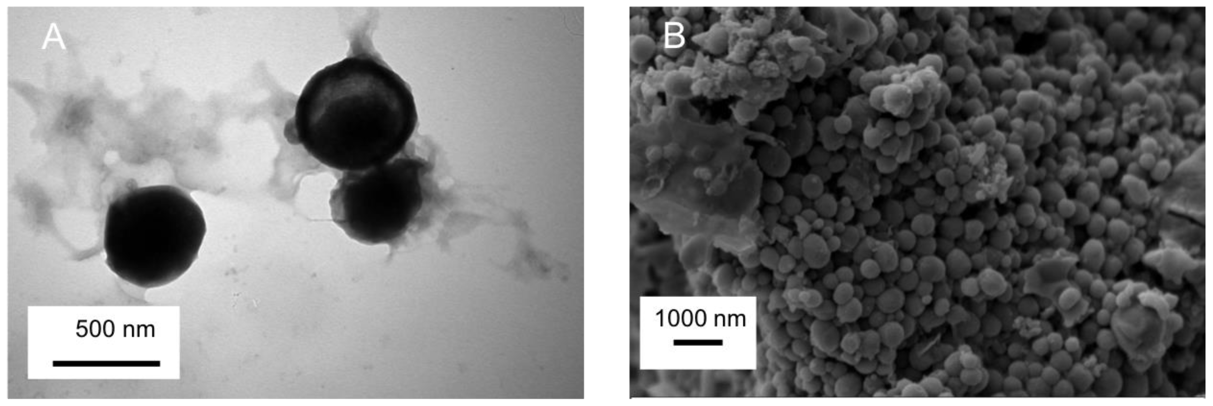 Molecules 28 01260 g001