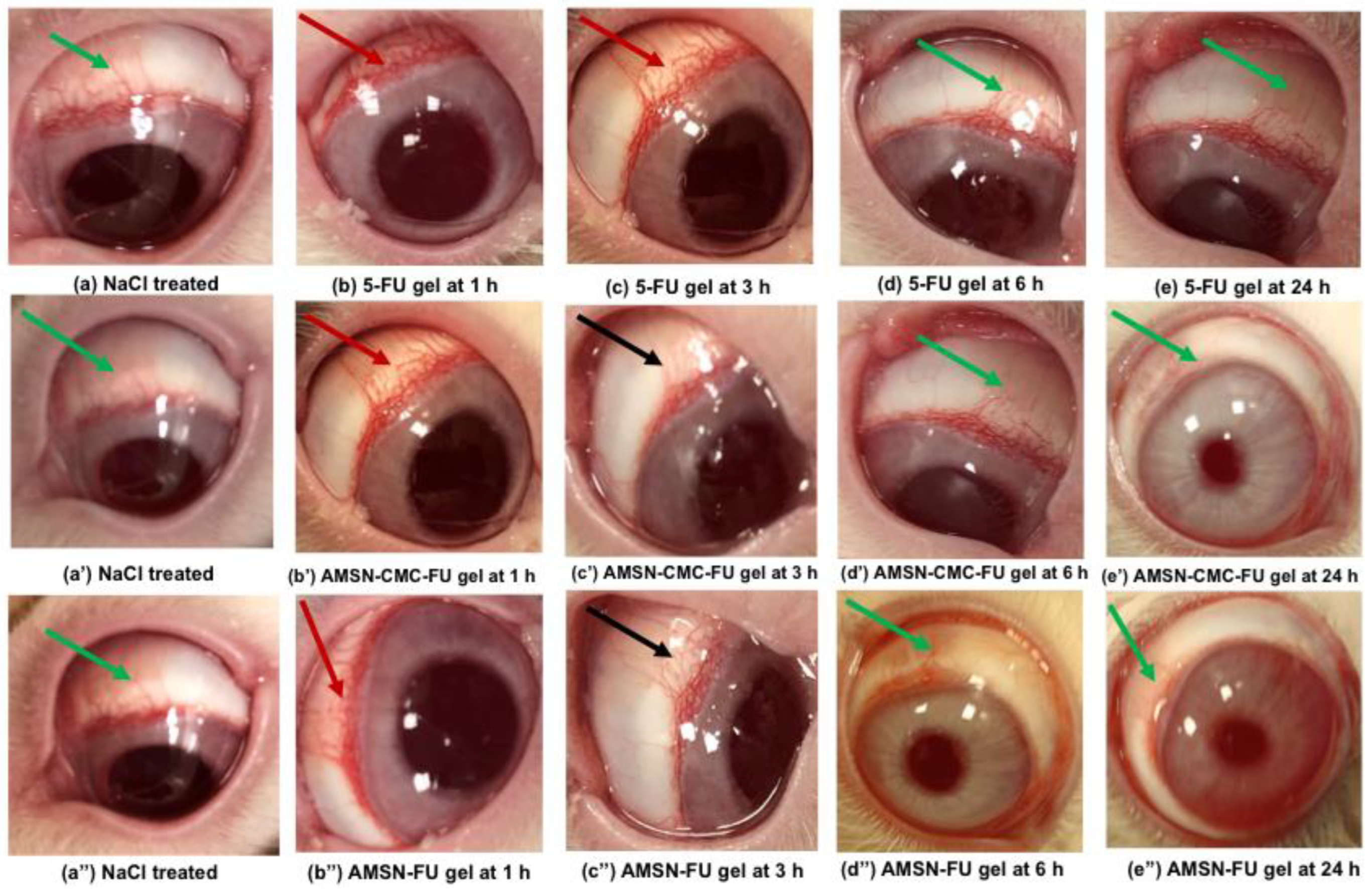 Molecules 28 01260 g011