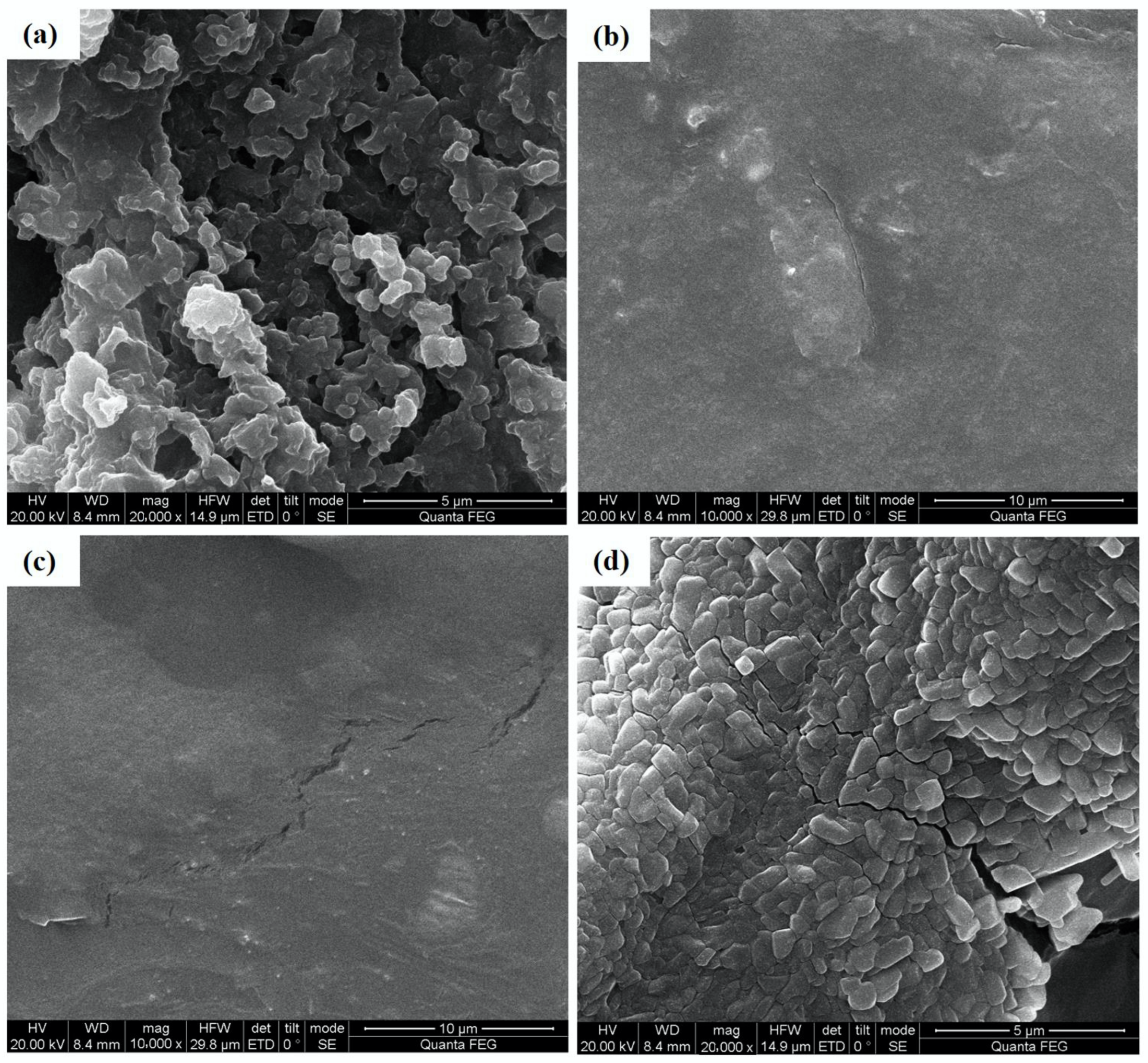 Molecules 28 01266 g005