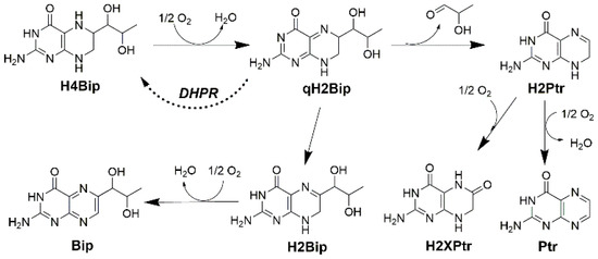 Molecules 28 01267 g001