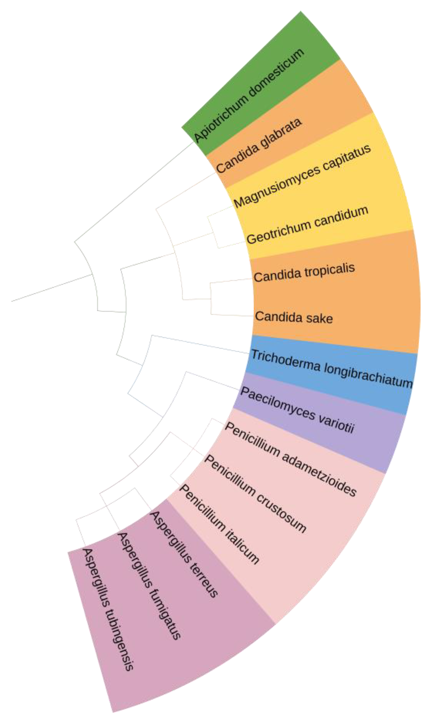 Molecules 28 01268 g001