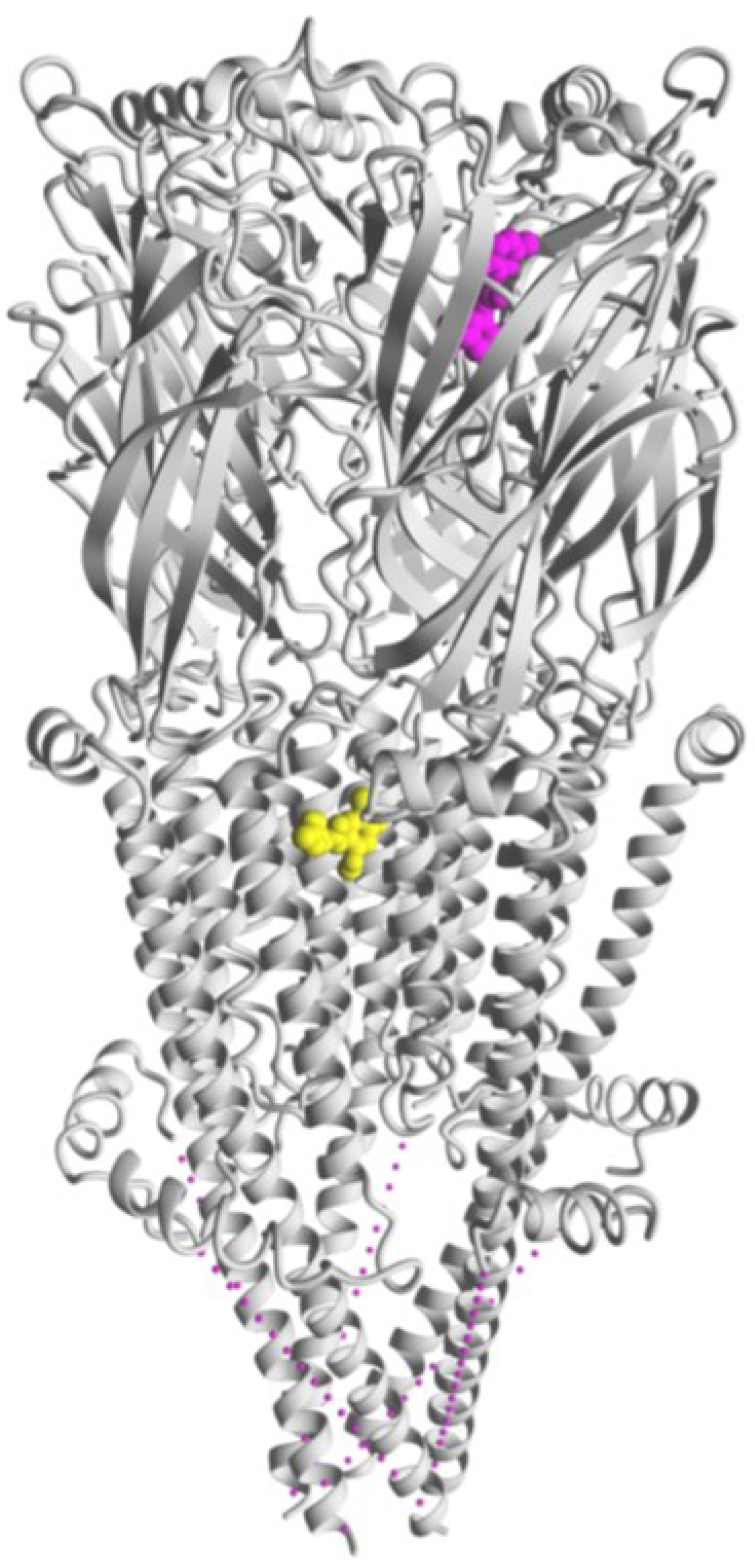Molecules 28 01270 g005