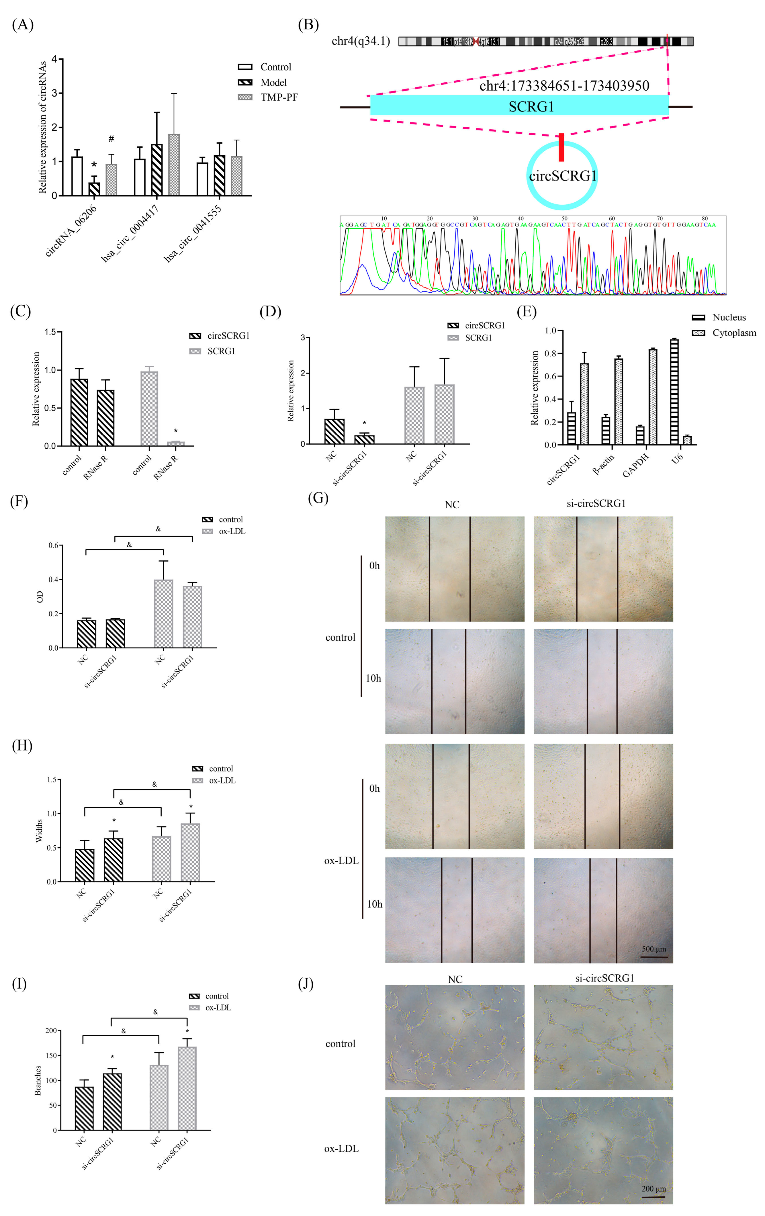 Molecules 28 01271 g002