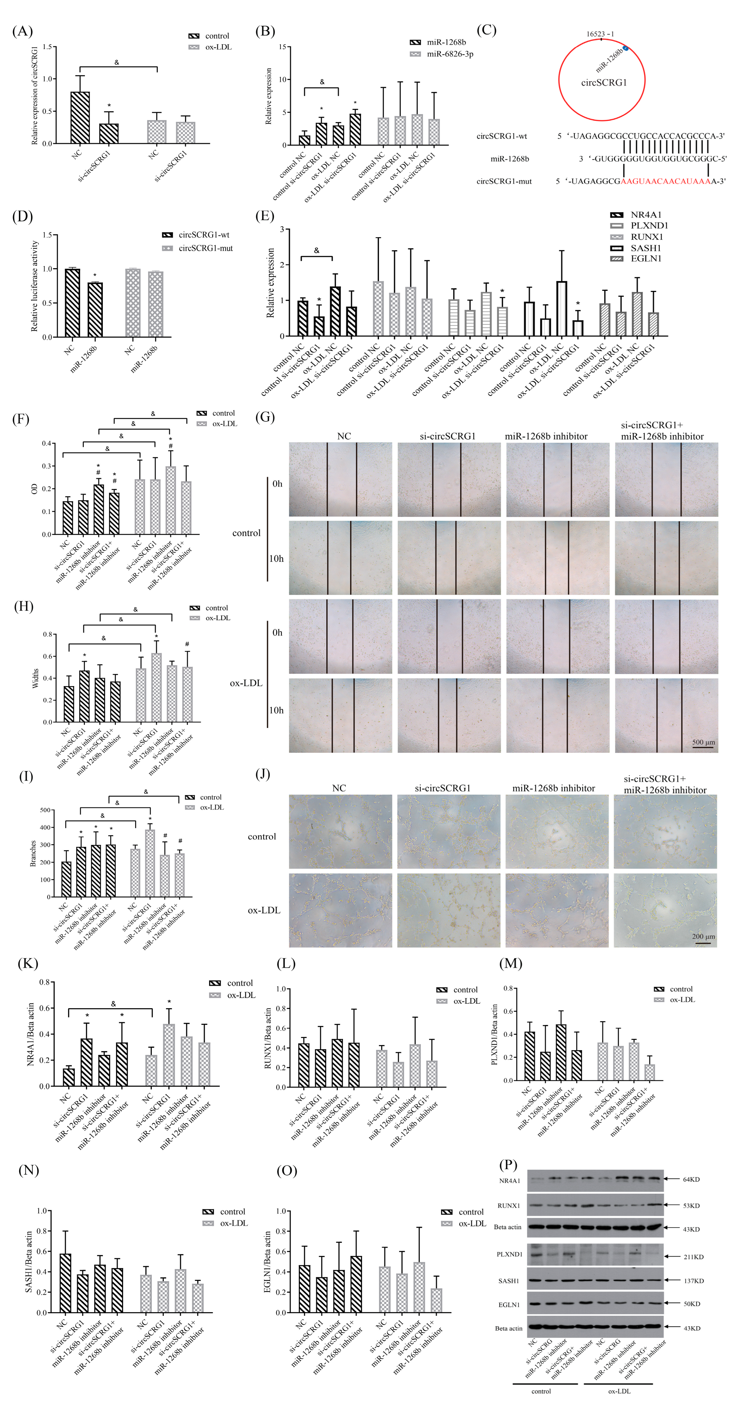 Molecules 28 01271 g003