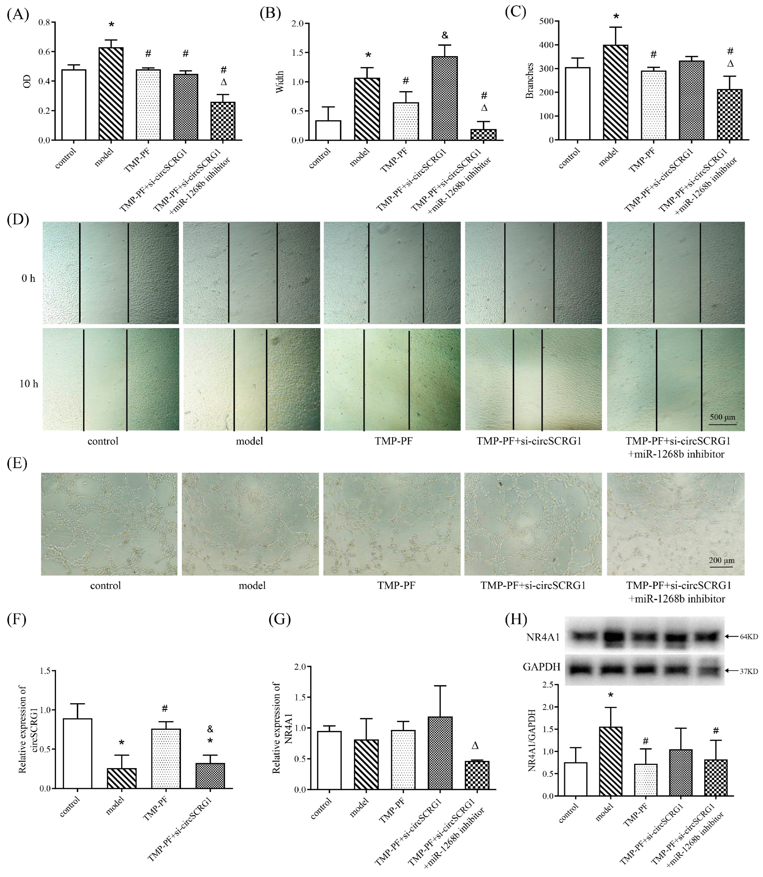 Molecules 28 01271 g004