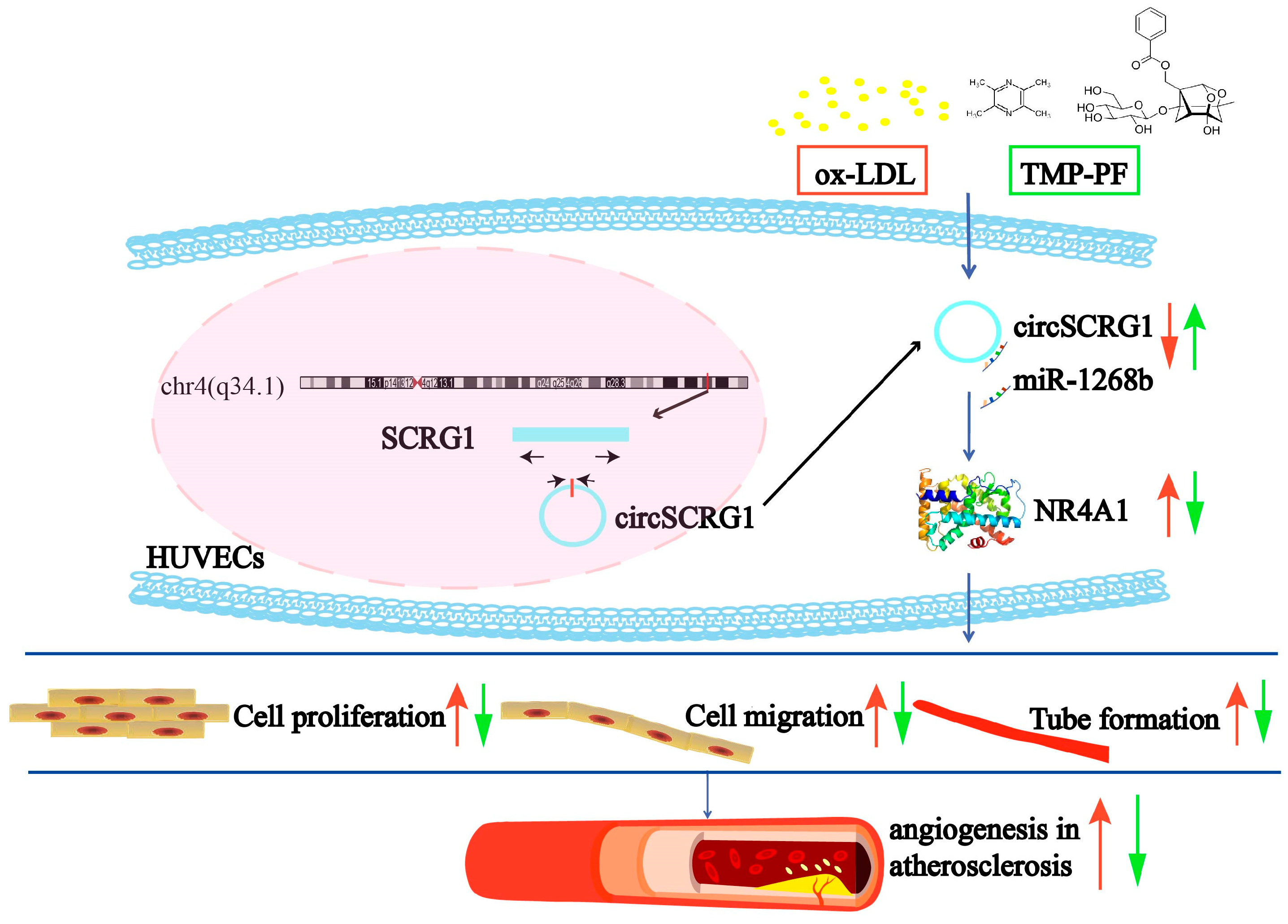 Molecules 28 01271 g005