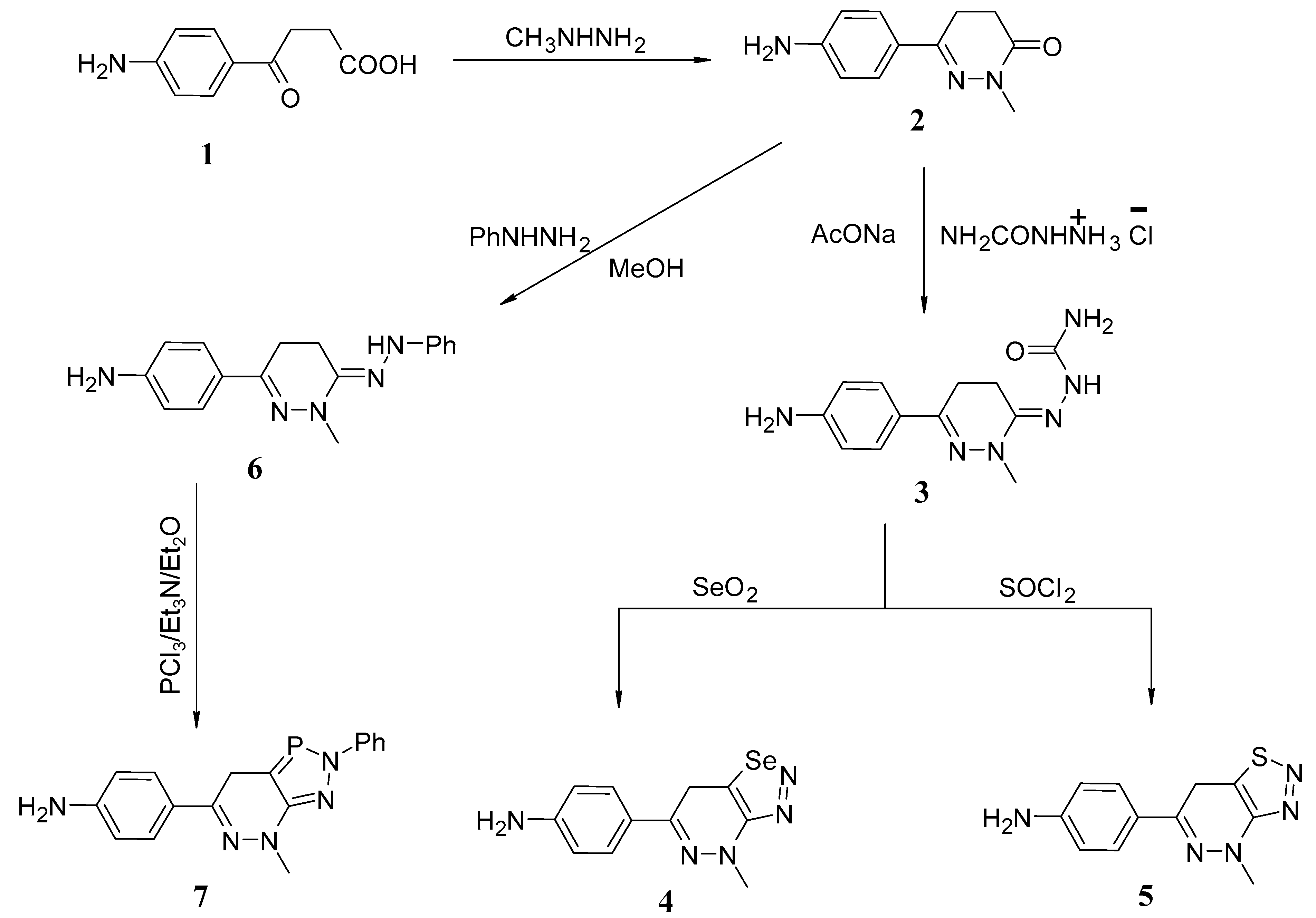 Molecules 28 01280 sch001