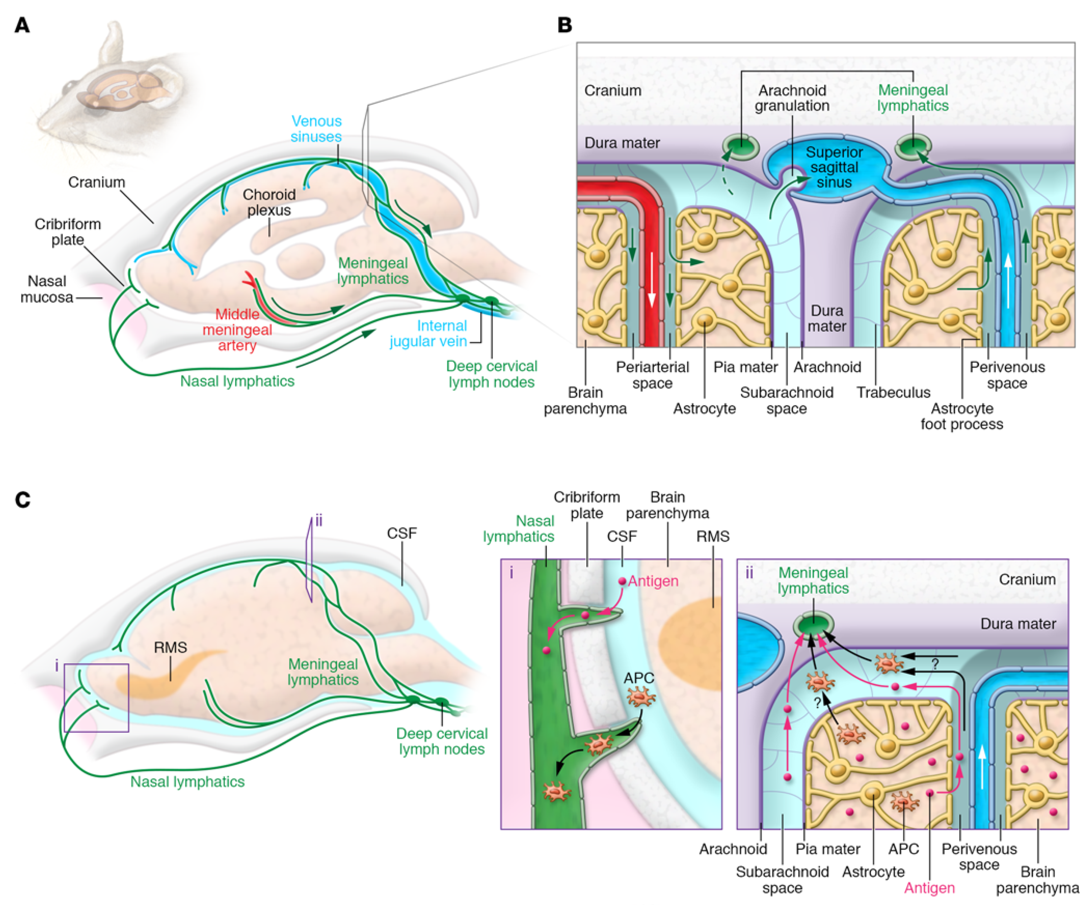 Molecules 28 01283 g001 Molecules 28 01283 g001