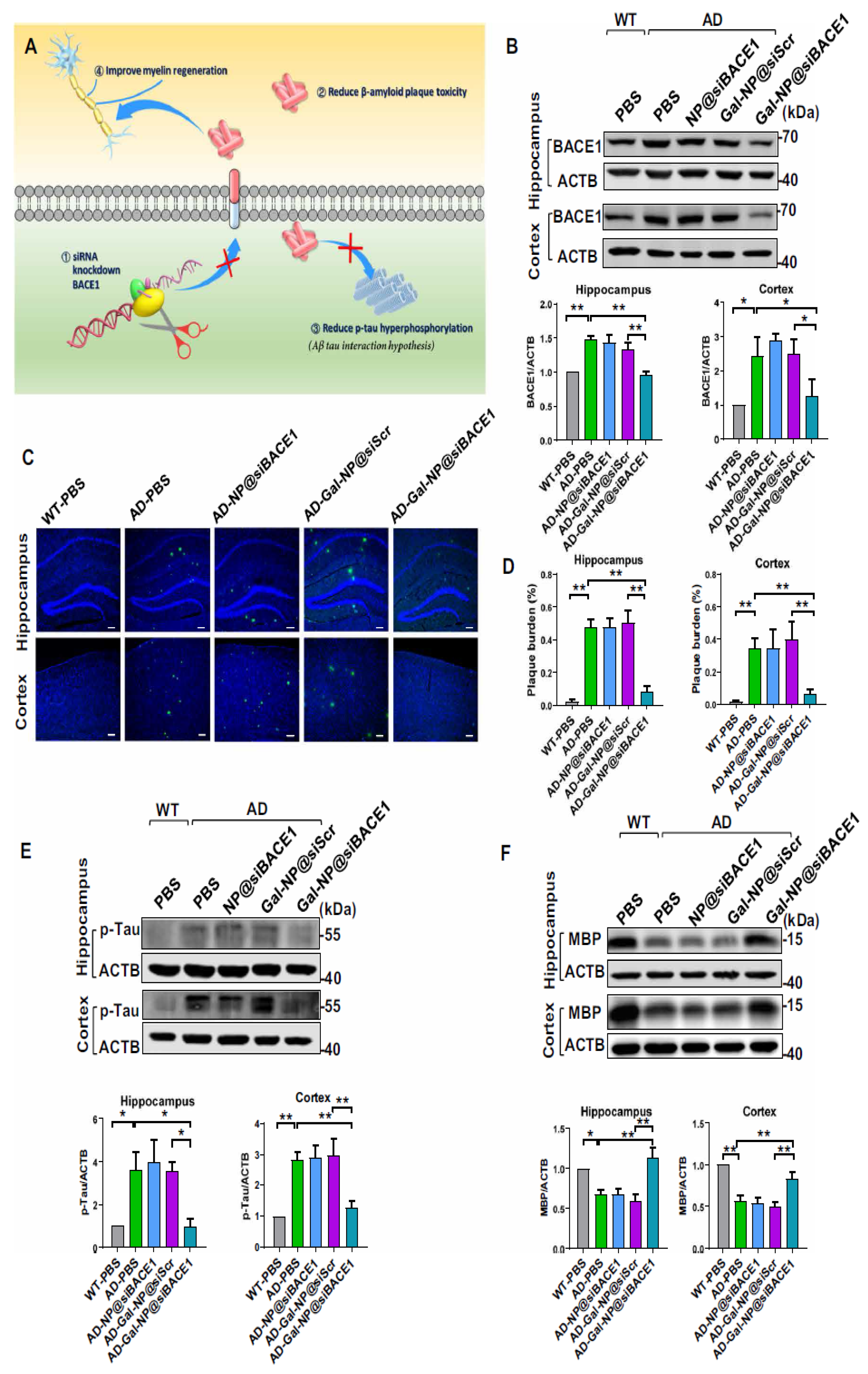 Molecules 28 01283 g006 Molecules 28 01283 g006