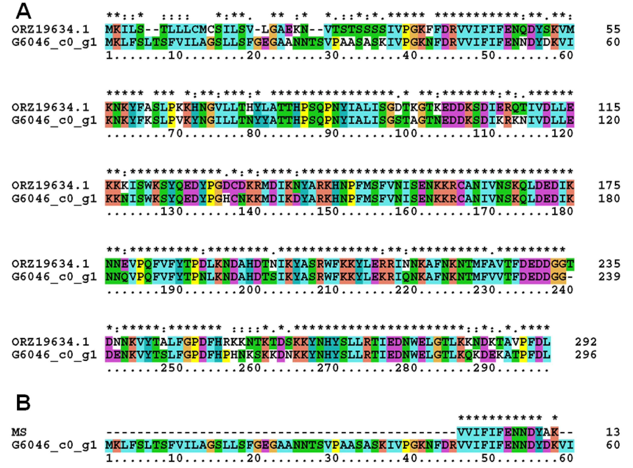 Molecules 28 01289 g003