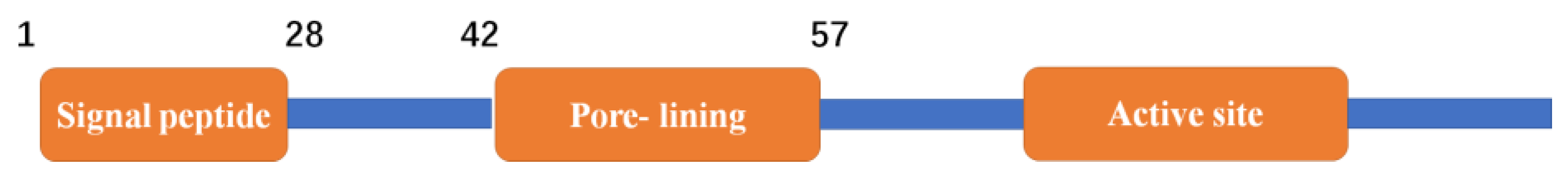 Molecules 28 01289 g004
