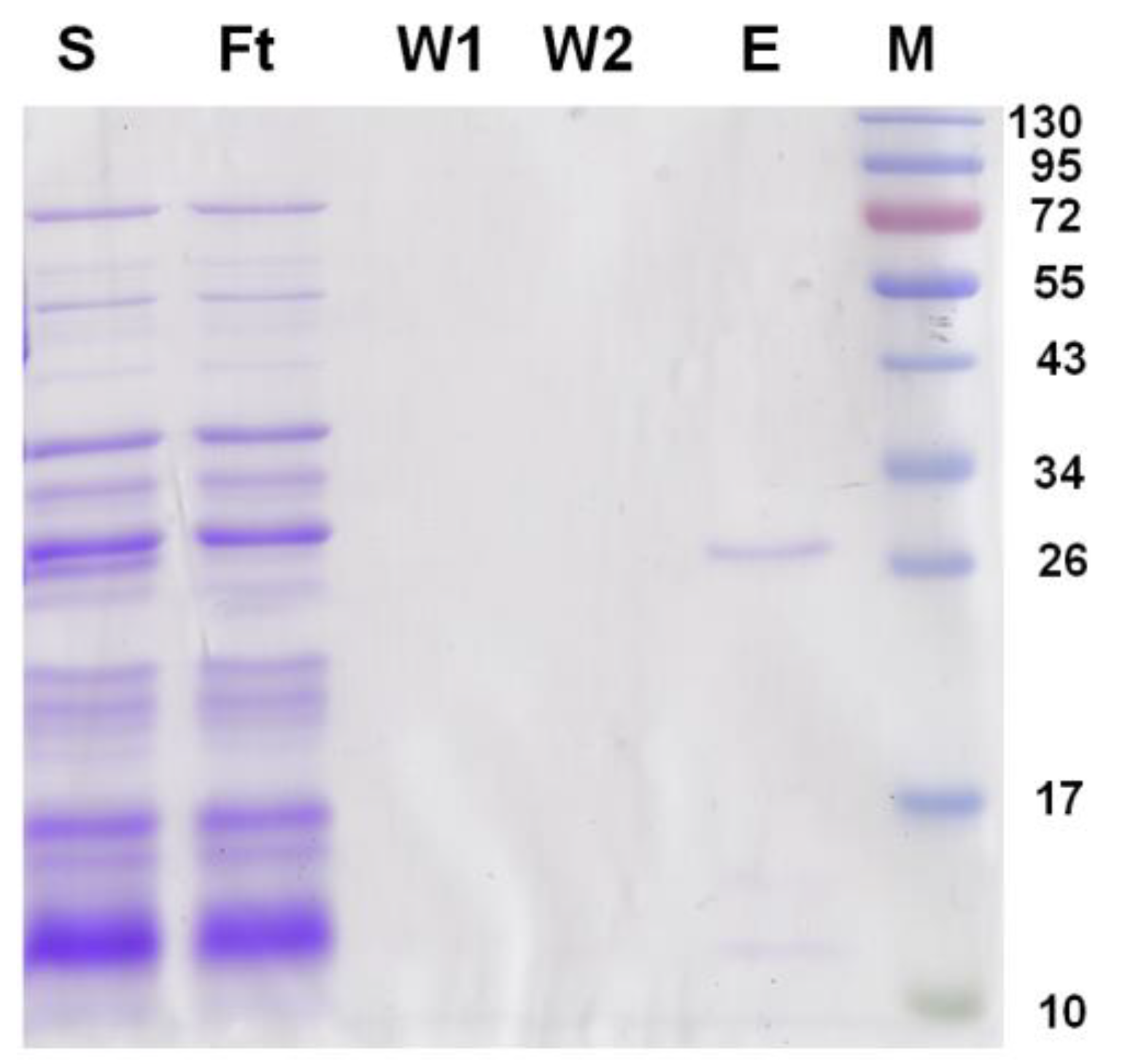 Molecules 28 01289 g005