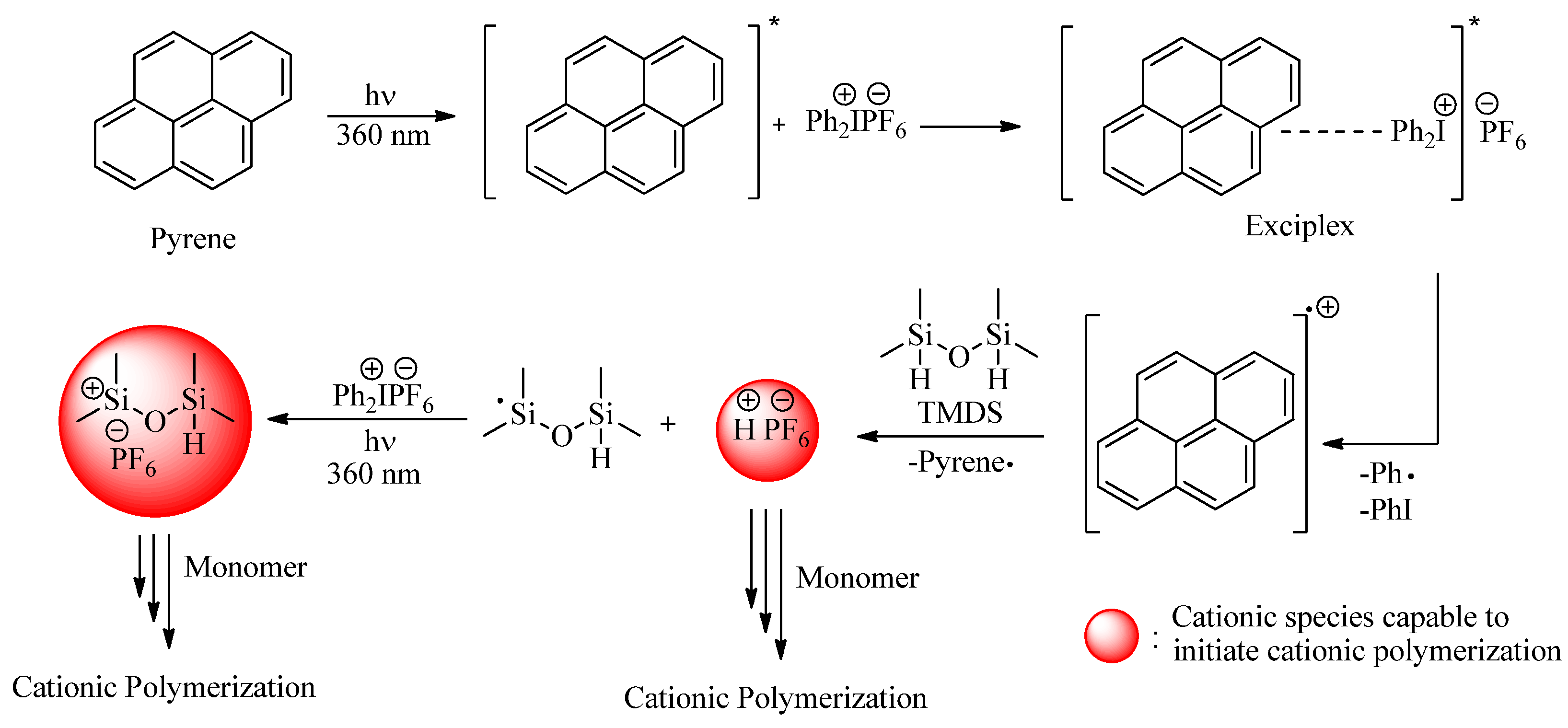 Molecules 28 01299 sch003