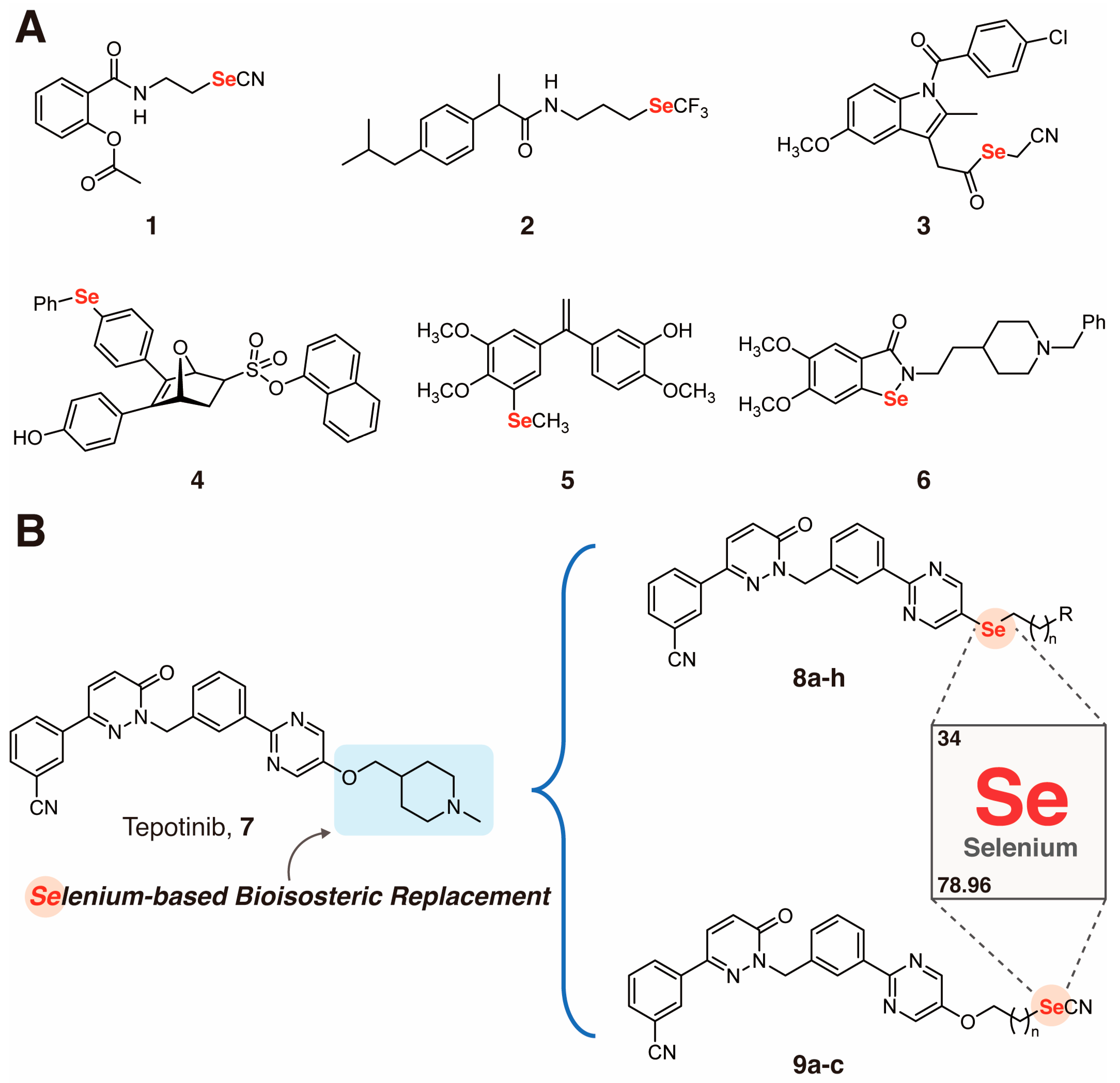 Molecules 28 01304 g001
