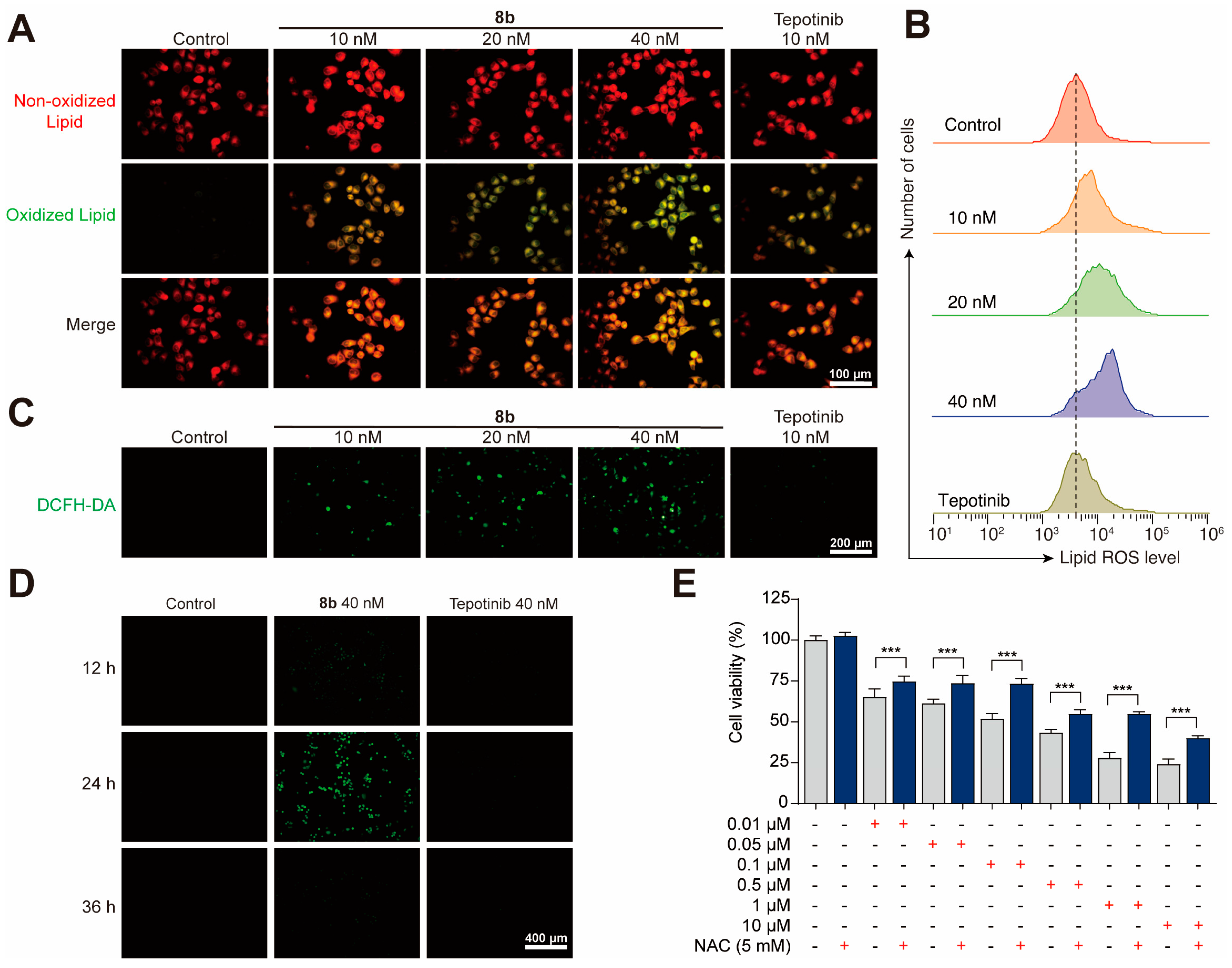 Molecules 28 01304 g002