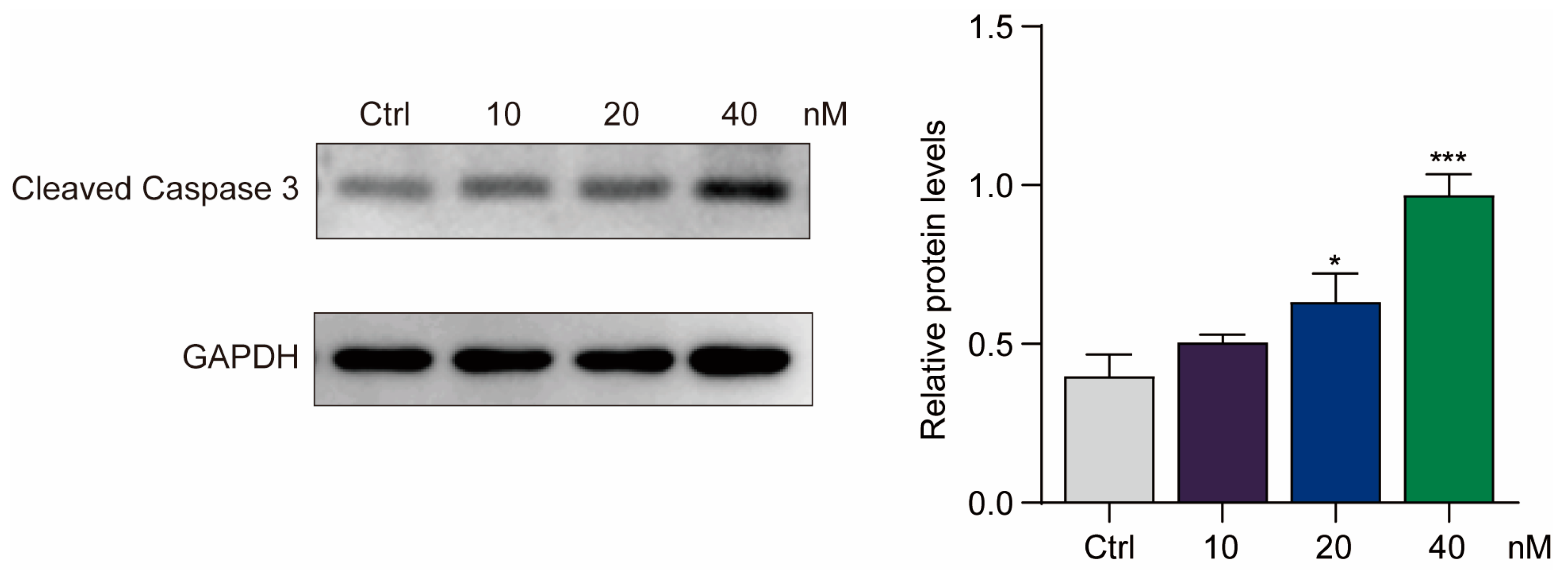 Molecules 28 01304 g004