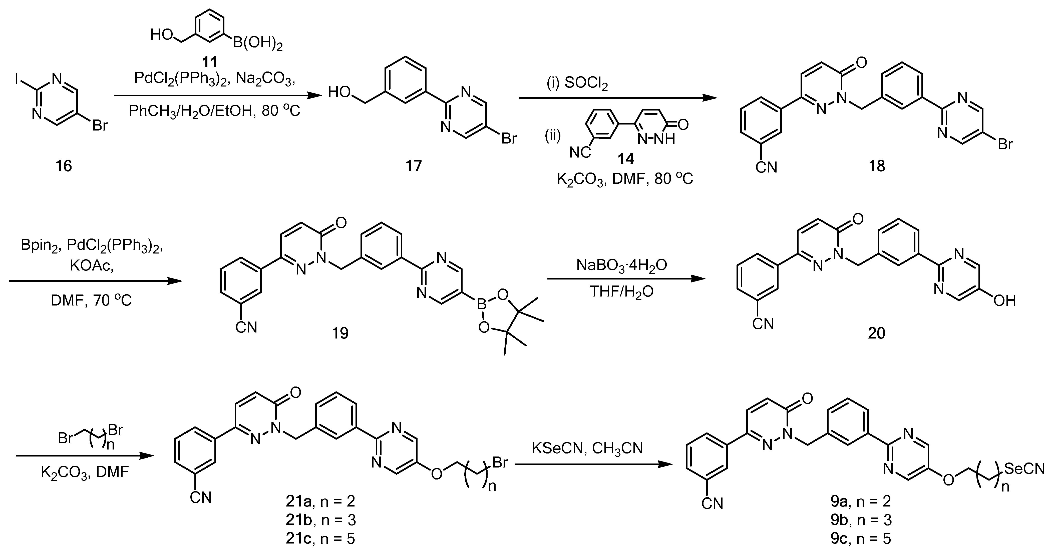 Molecules 28 01304 sch002