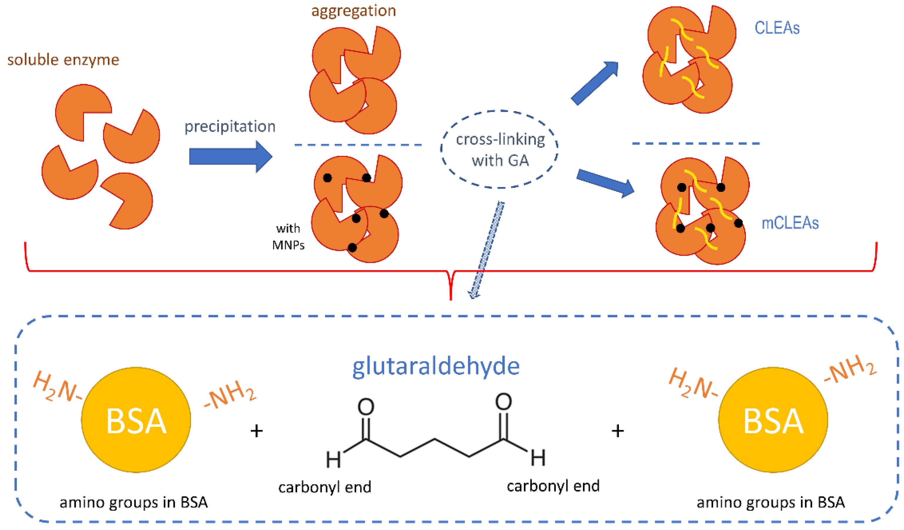Molecules 28 01305 g007