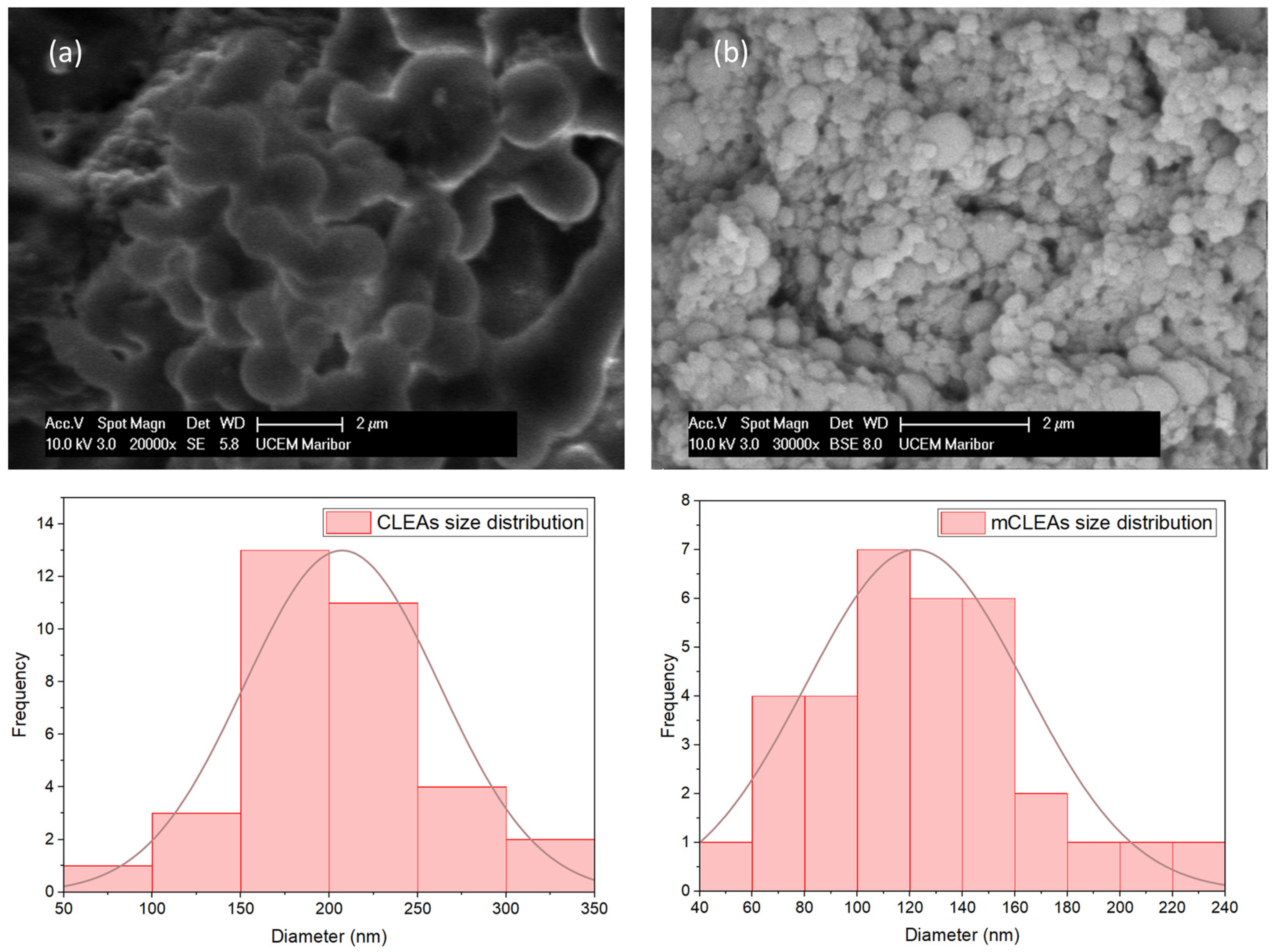 Molecules 28 01305 g012