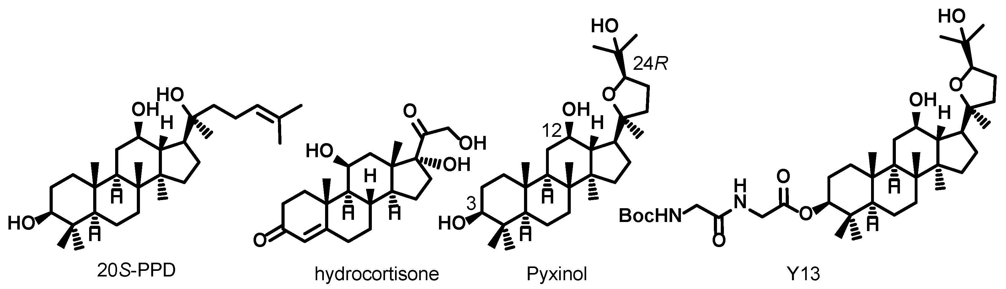 Molecules 28 01307 g001