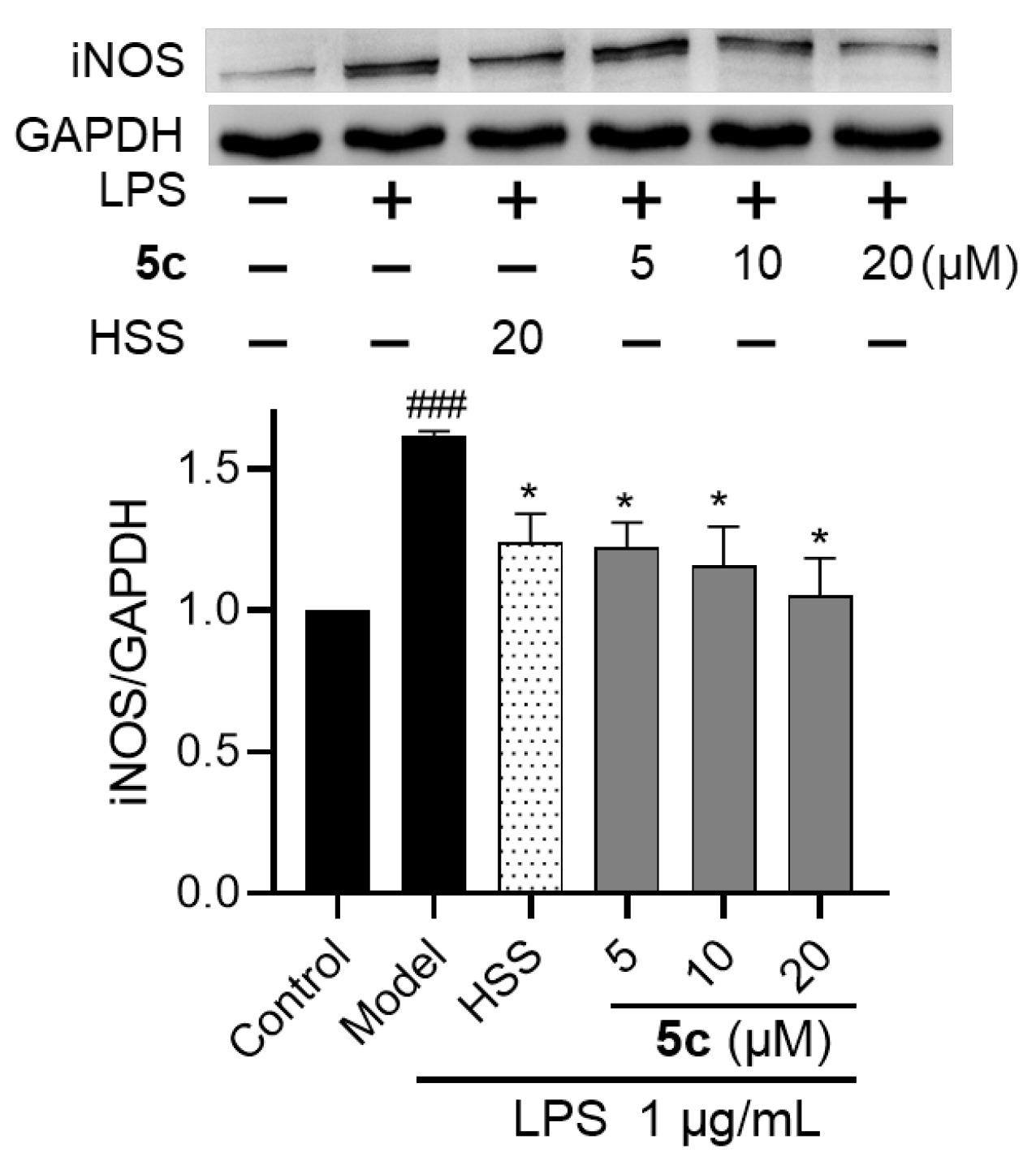Molecules 28 01307 g005