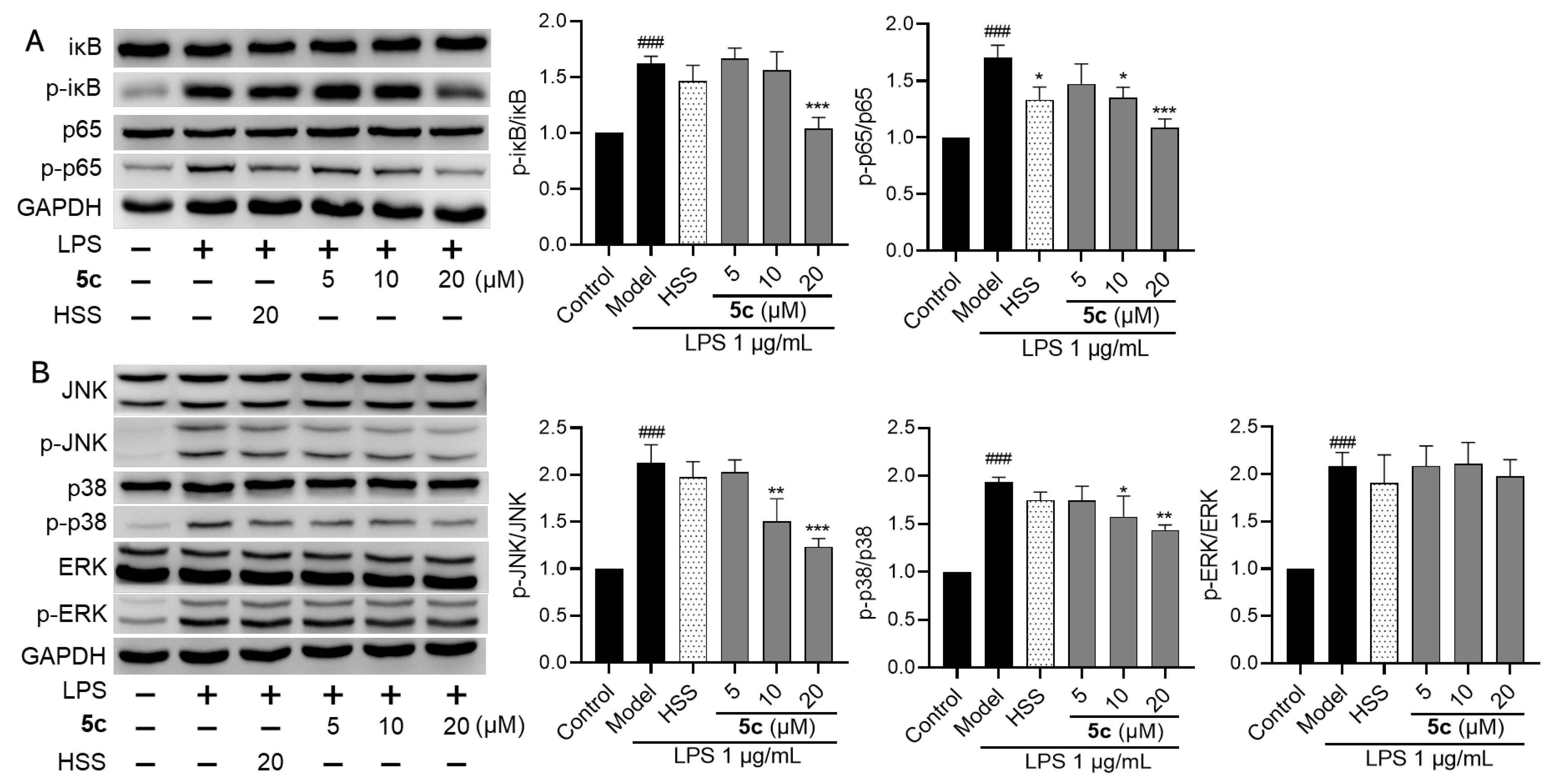 Molecules 28 01307 g006