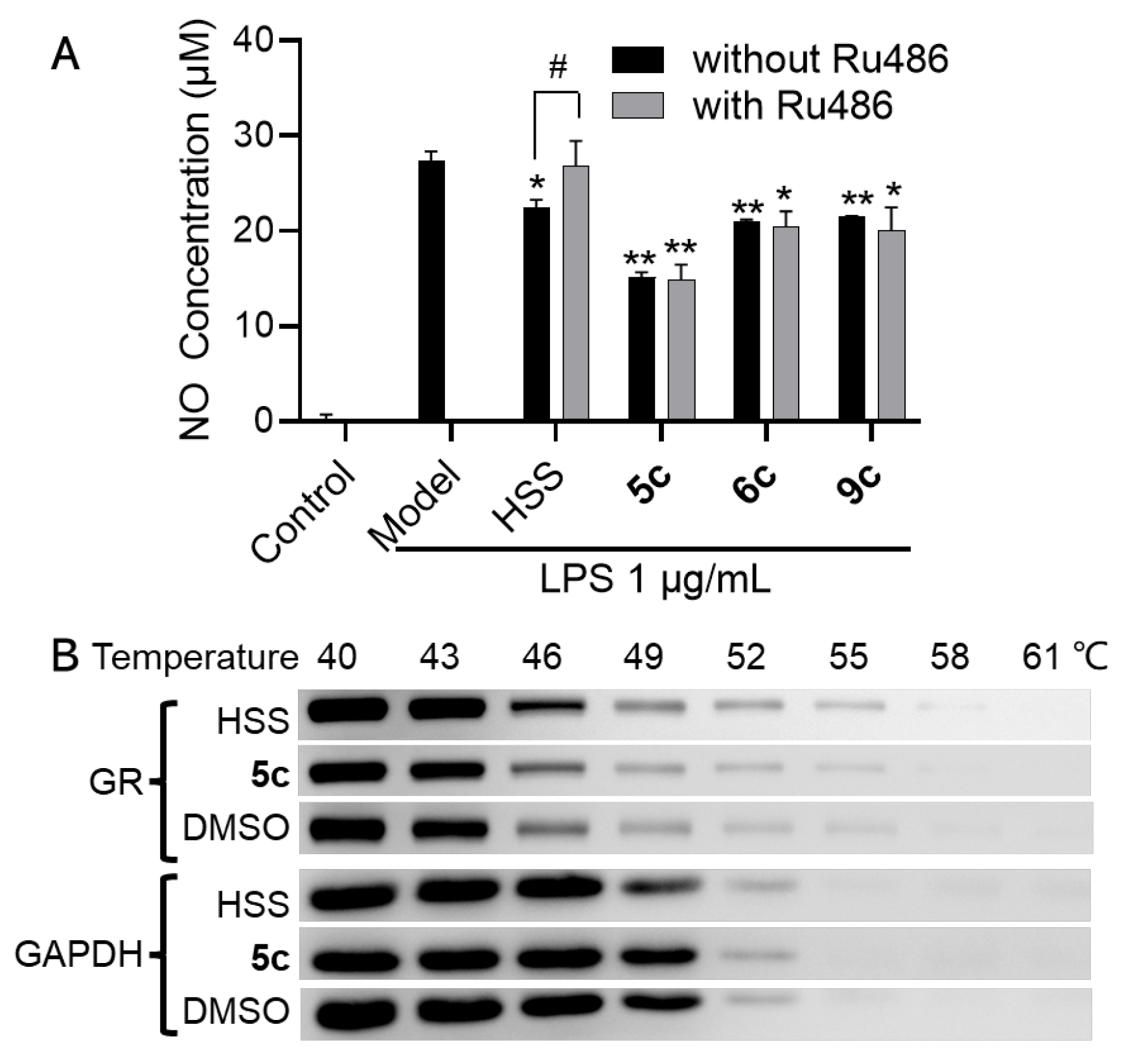 Molecules 28 01307 g007