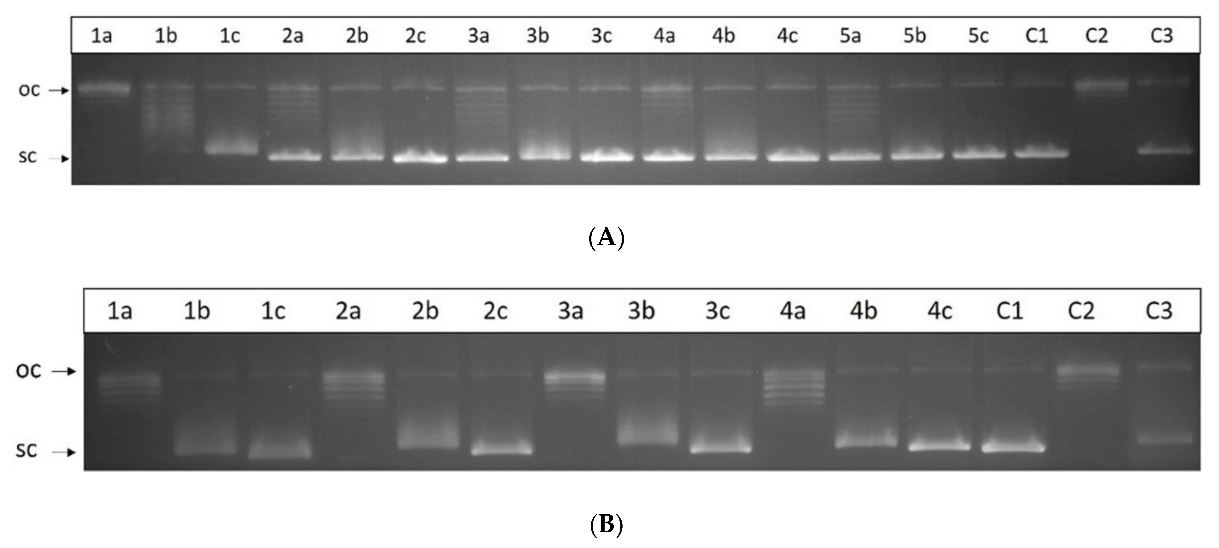 Molecules 28 01308 g007