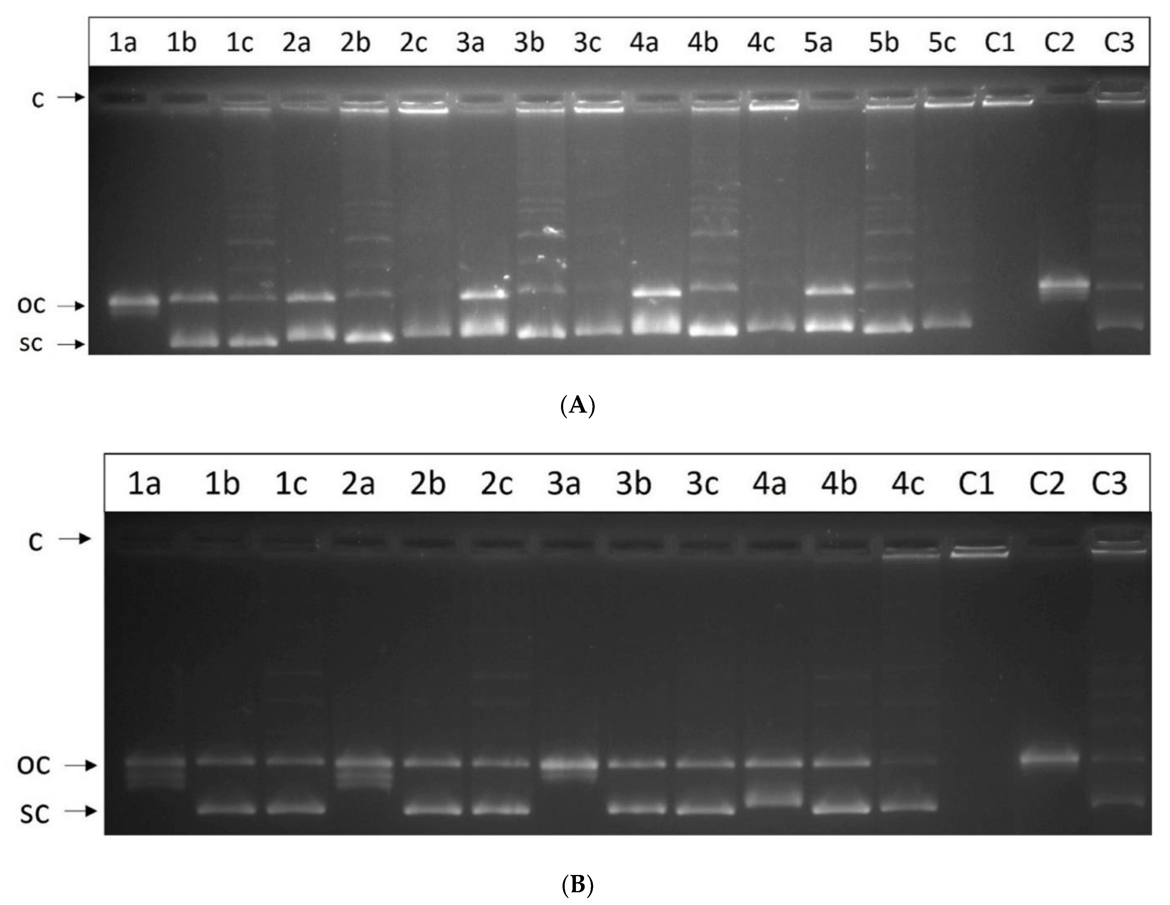 Molecules 28 01308 g009
