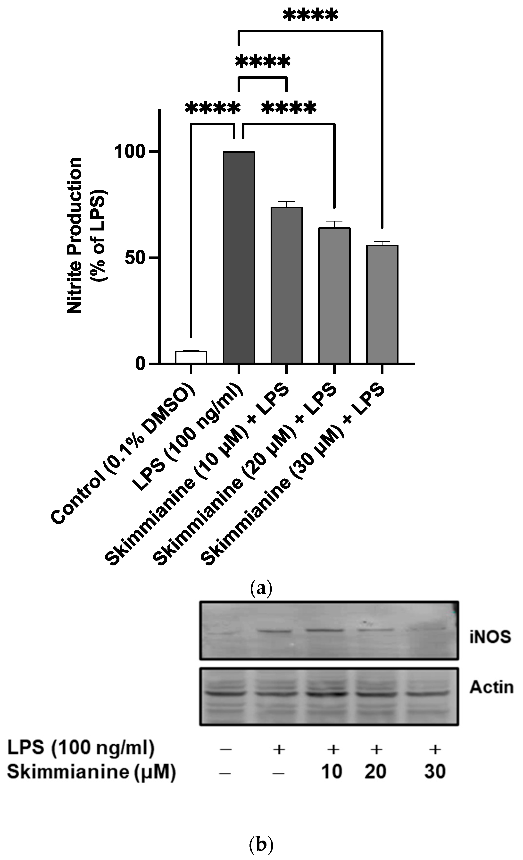 Molecules 28 01317 g004a