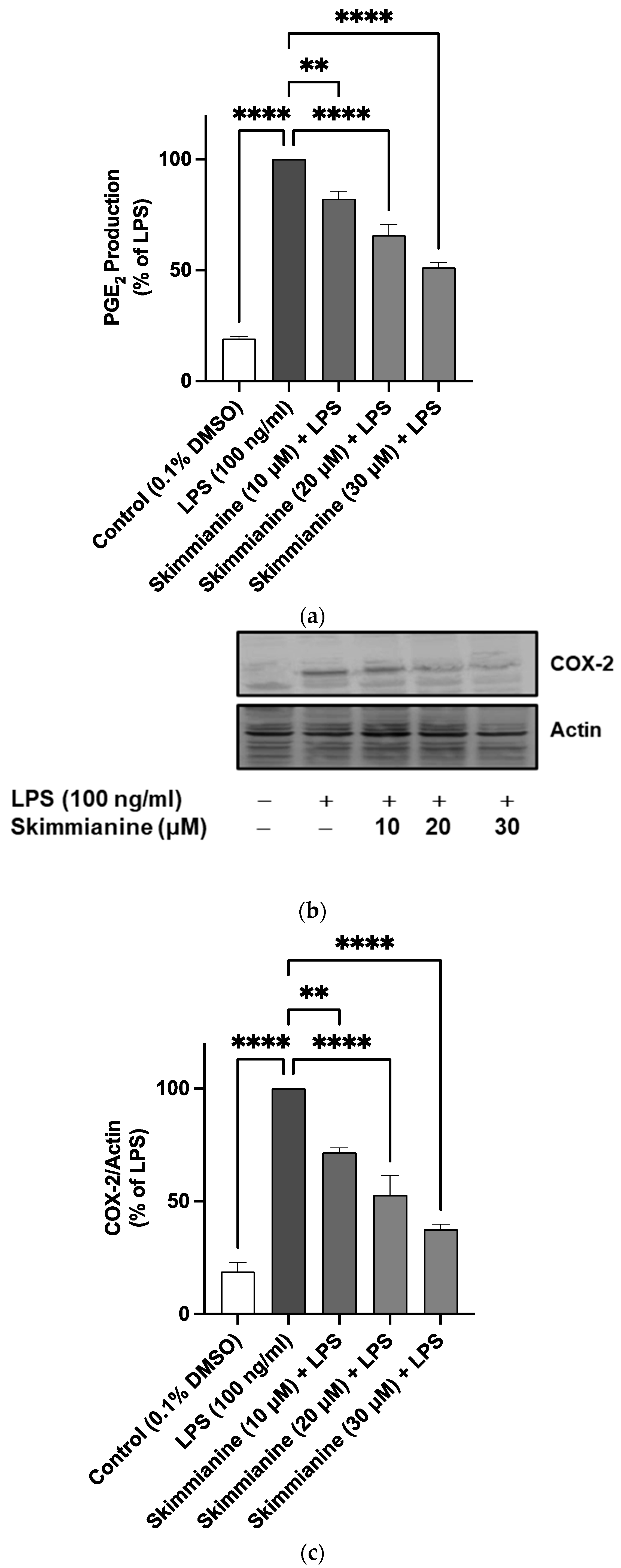 Molecules 28 01317 g005