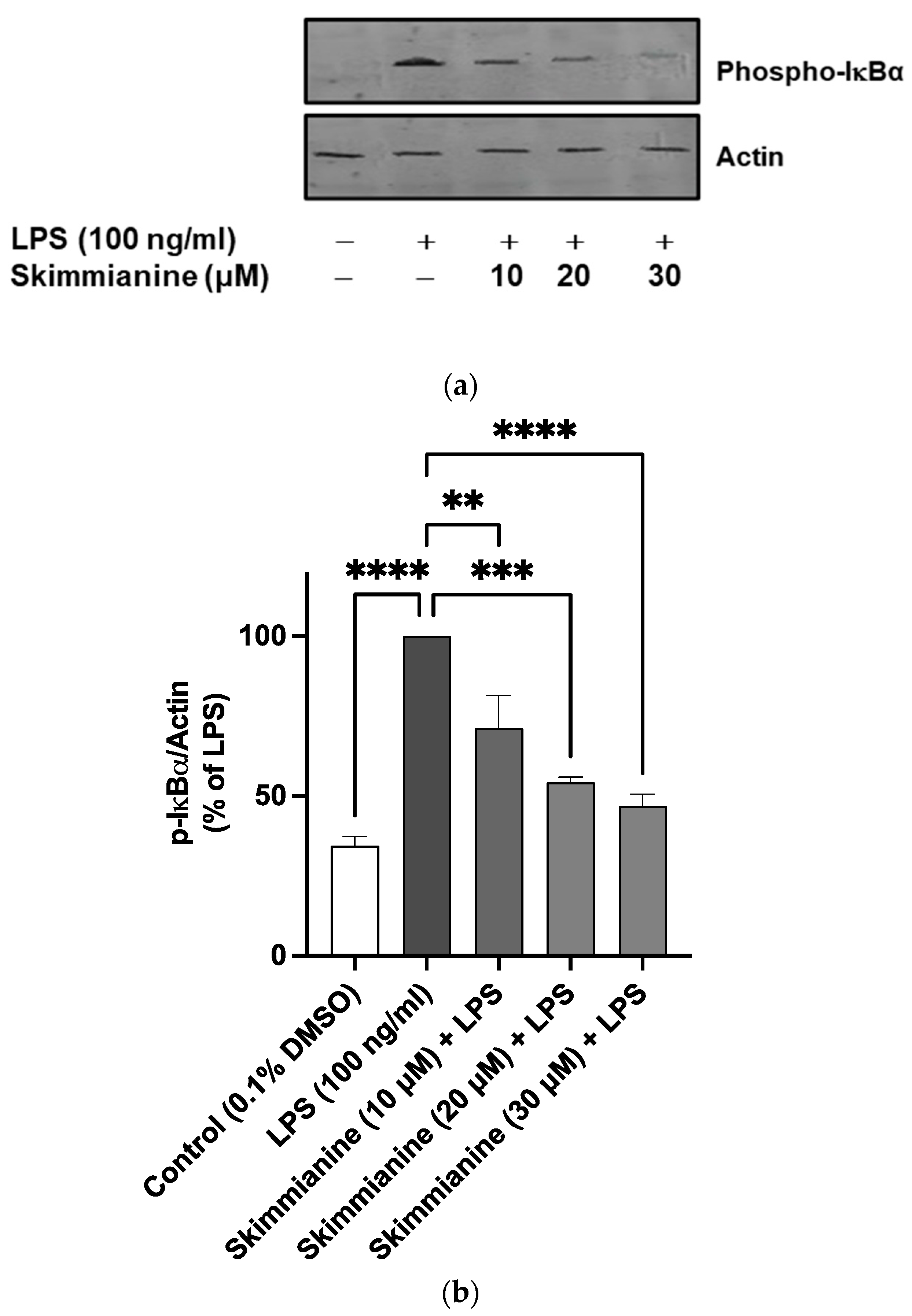 Molecules 28 01317 g007