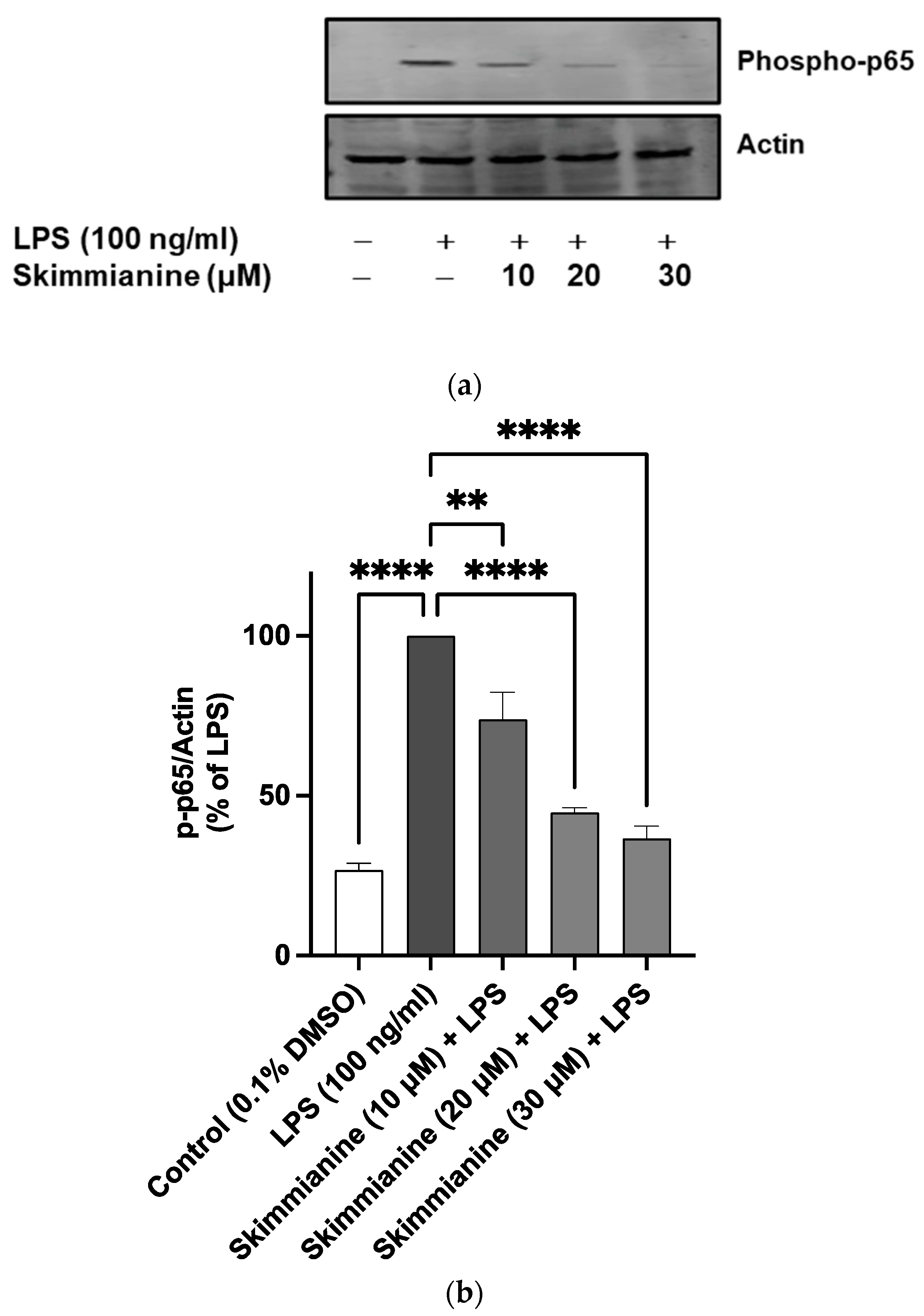 Molecules 28 01317 g008