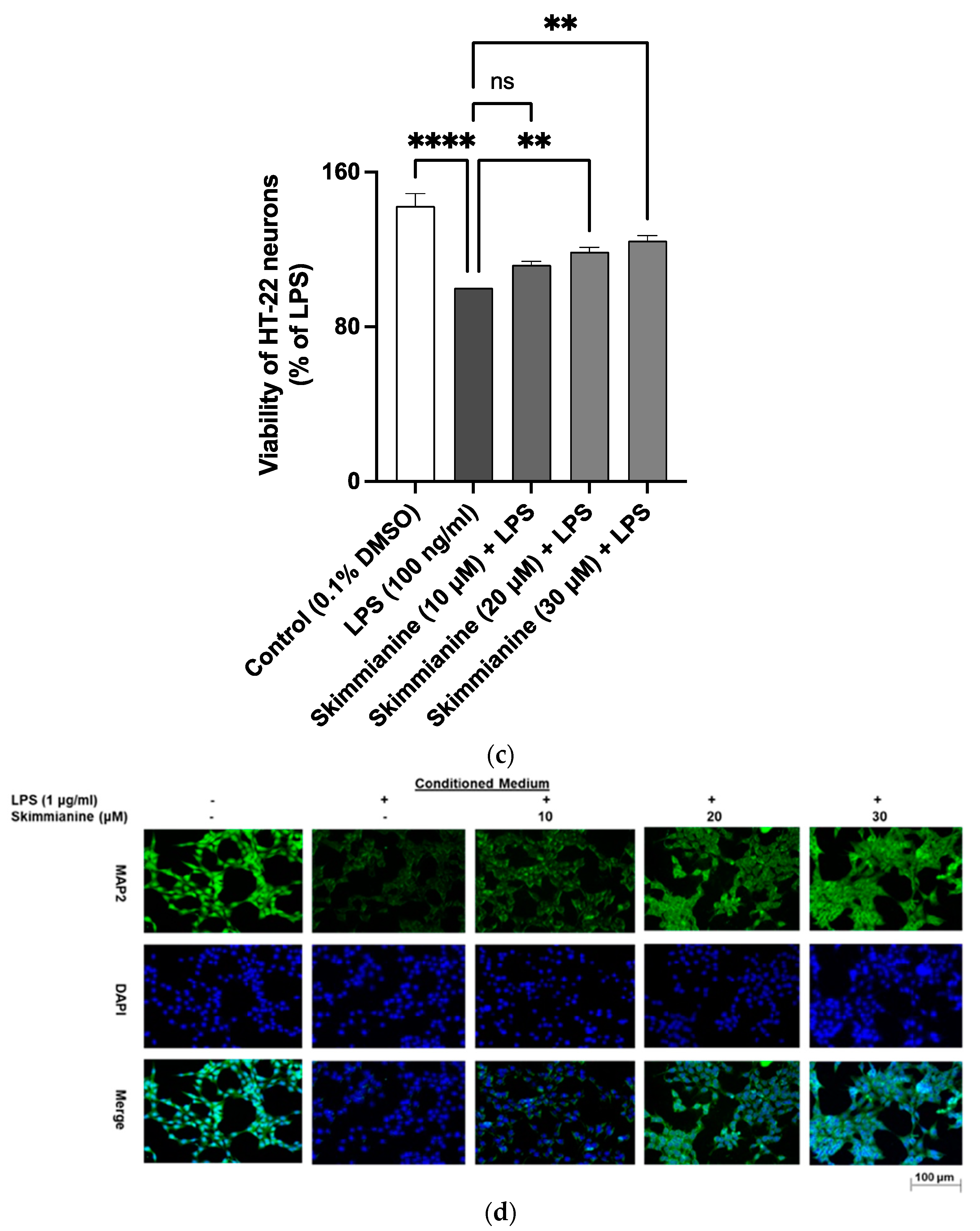 Molecules 28 01317 g010b