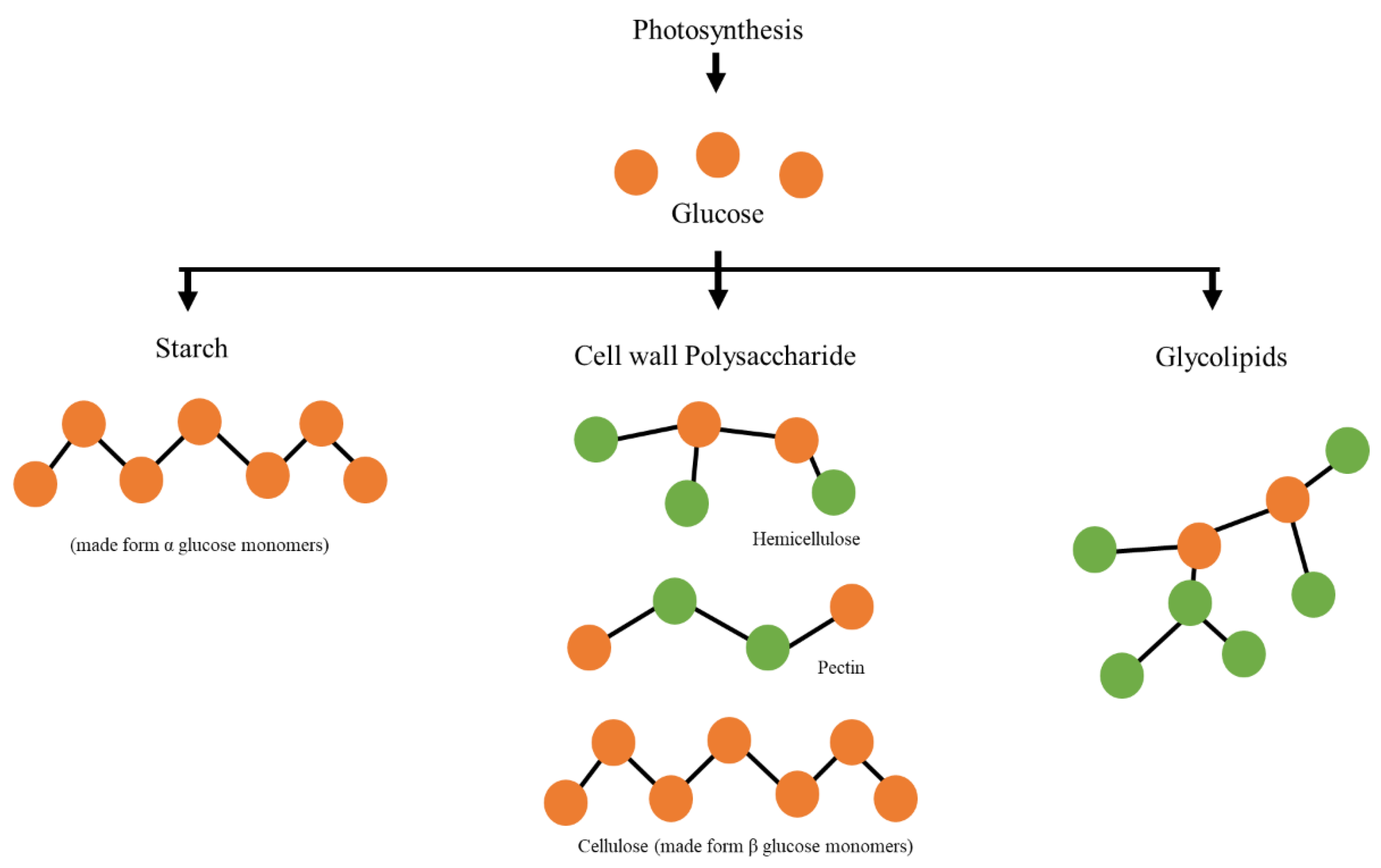 Molecules 28 01318 g002