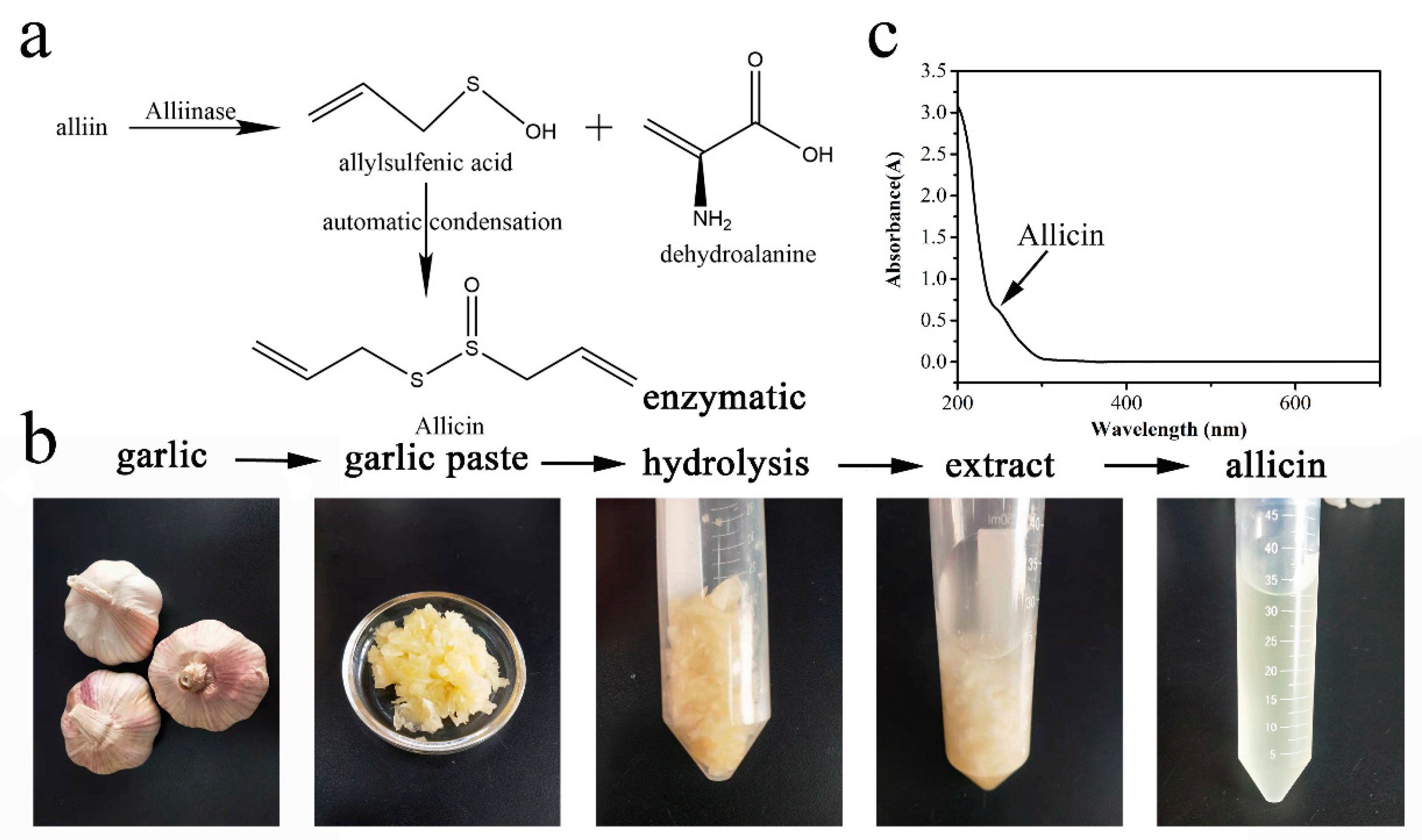 Molecules 28 01319 g001