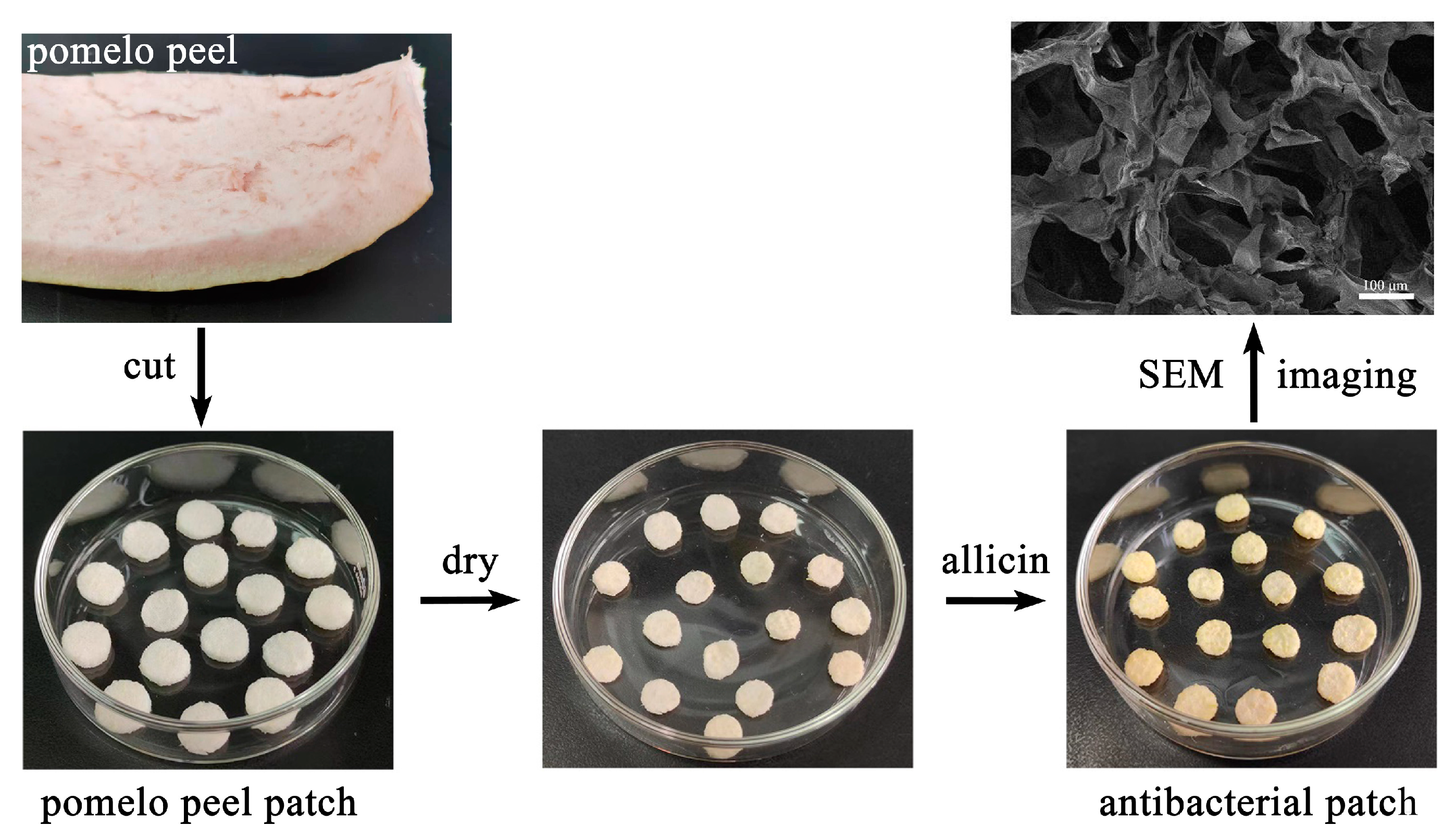 Molecules 28 01319 g002