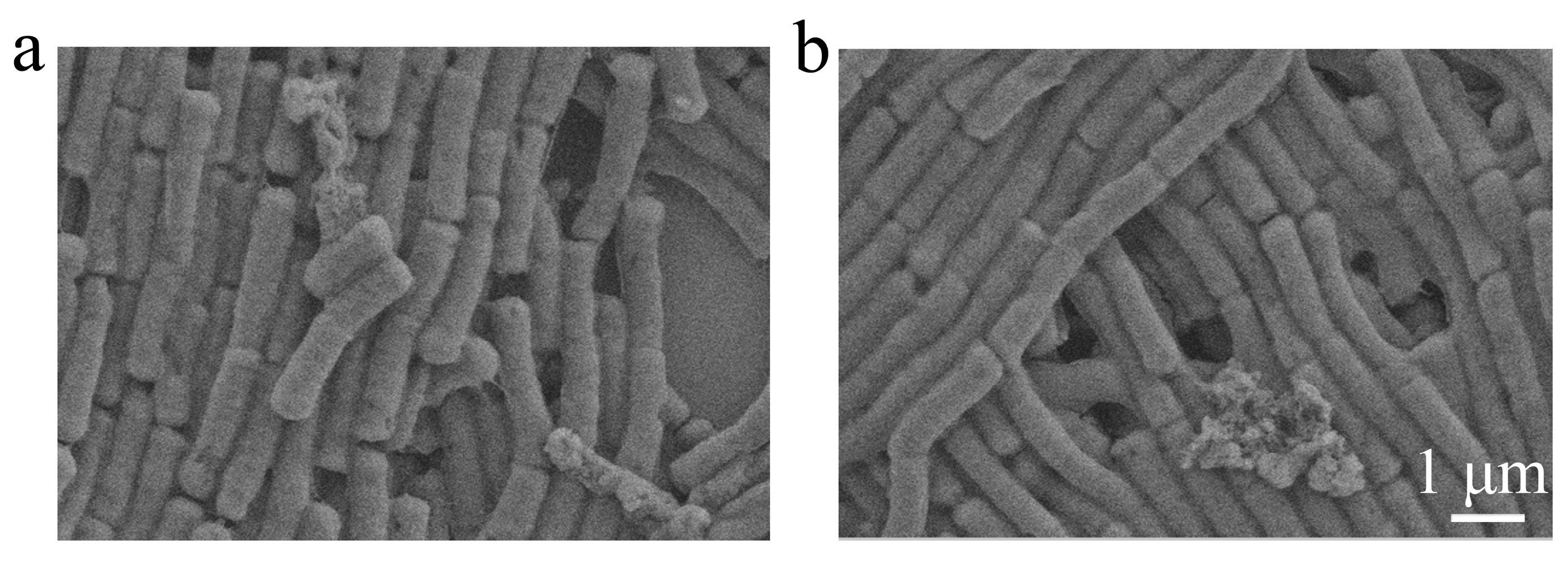 Molecules 28 01319 g006