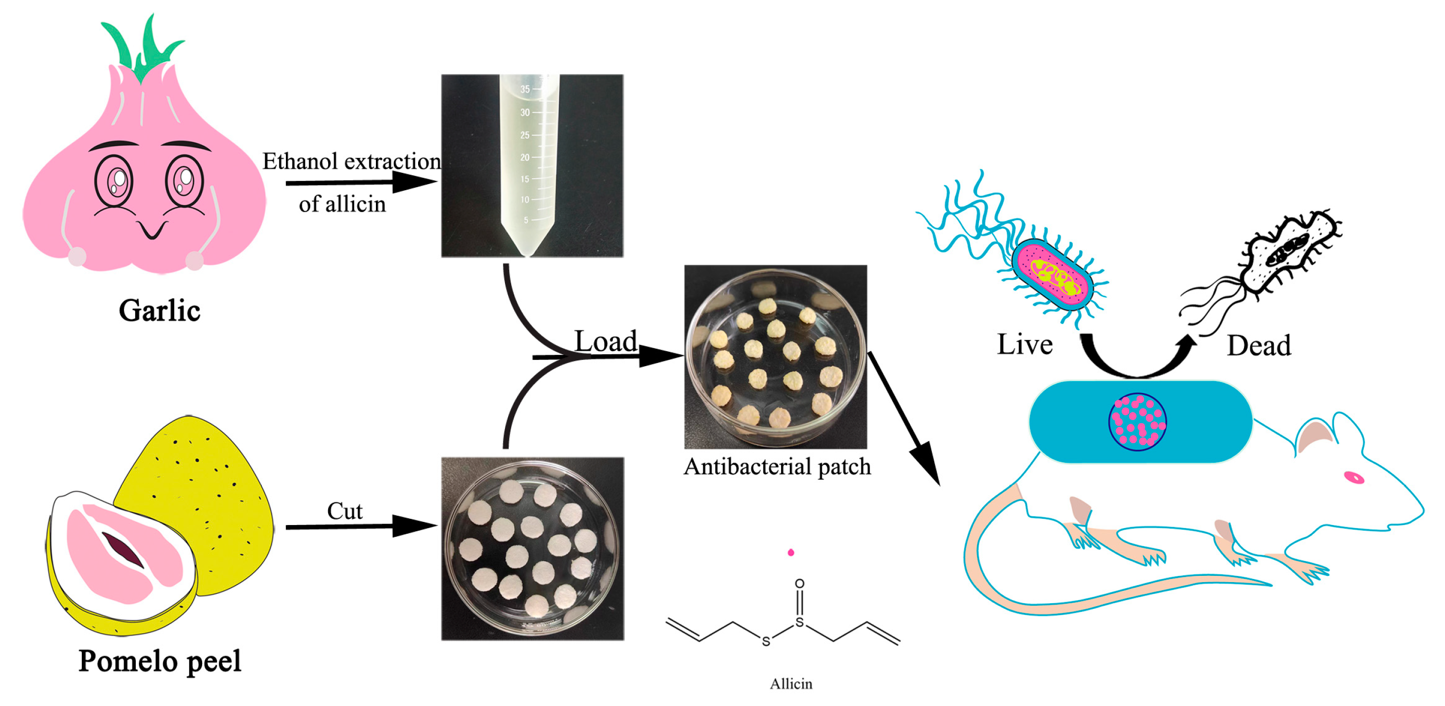 Molecules 28 01319 sch001