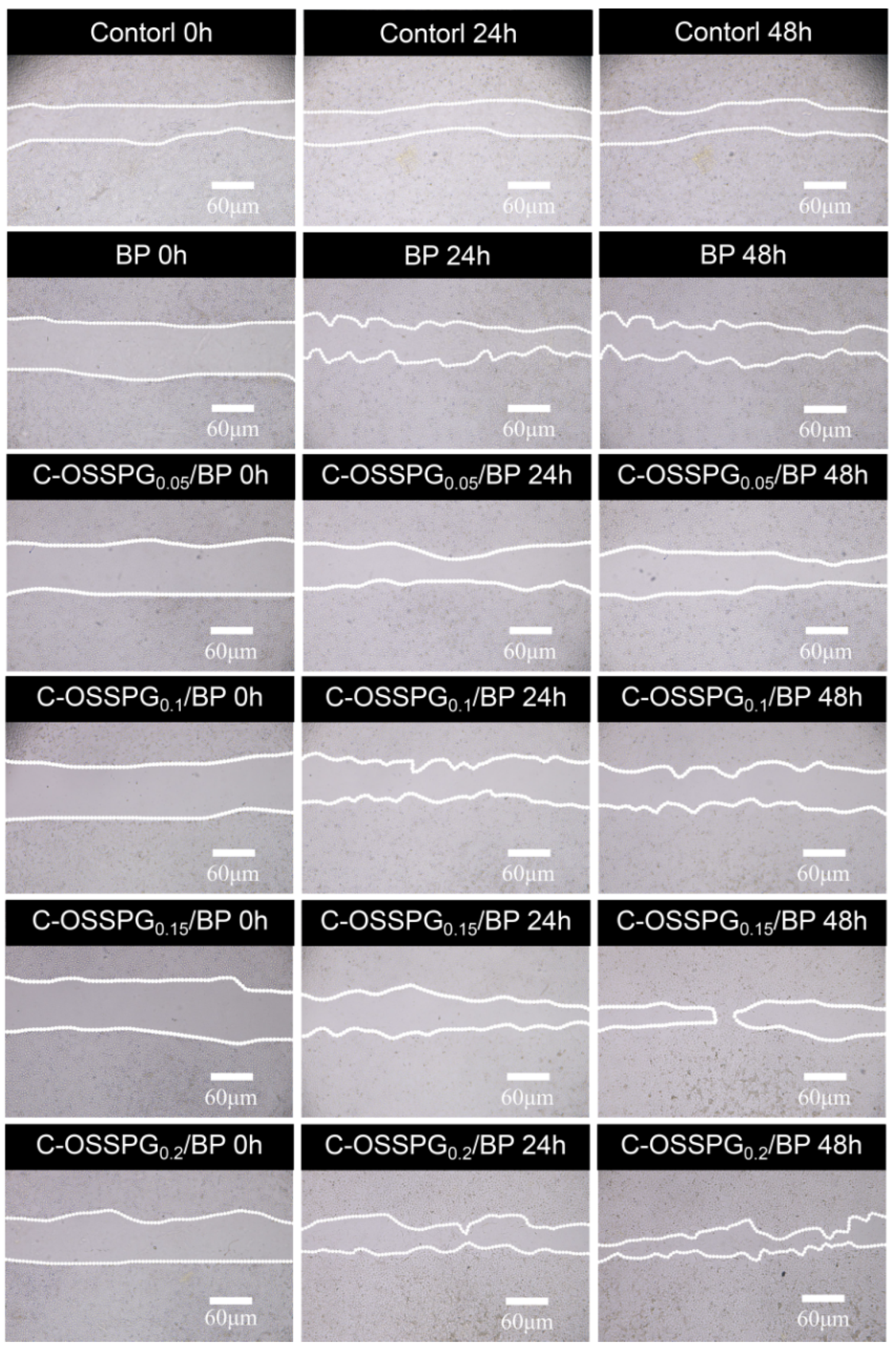 Molecules 28 01321 g006