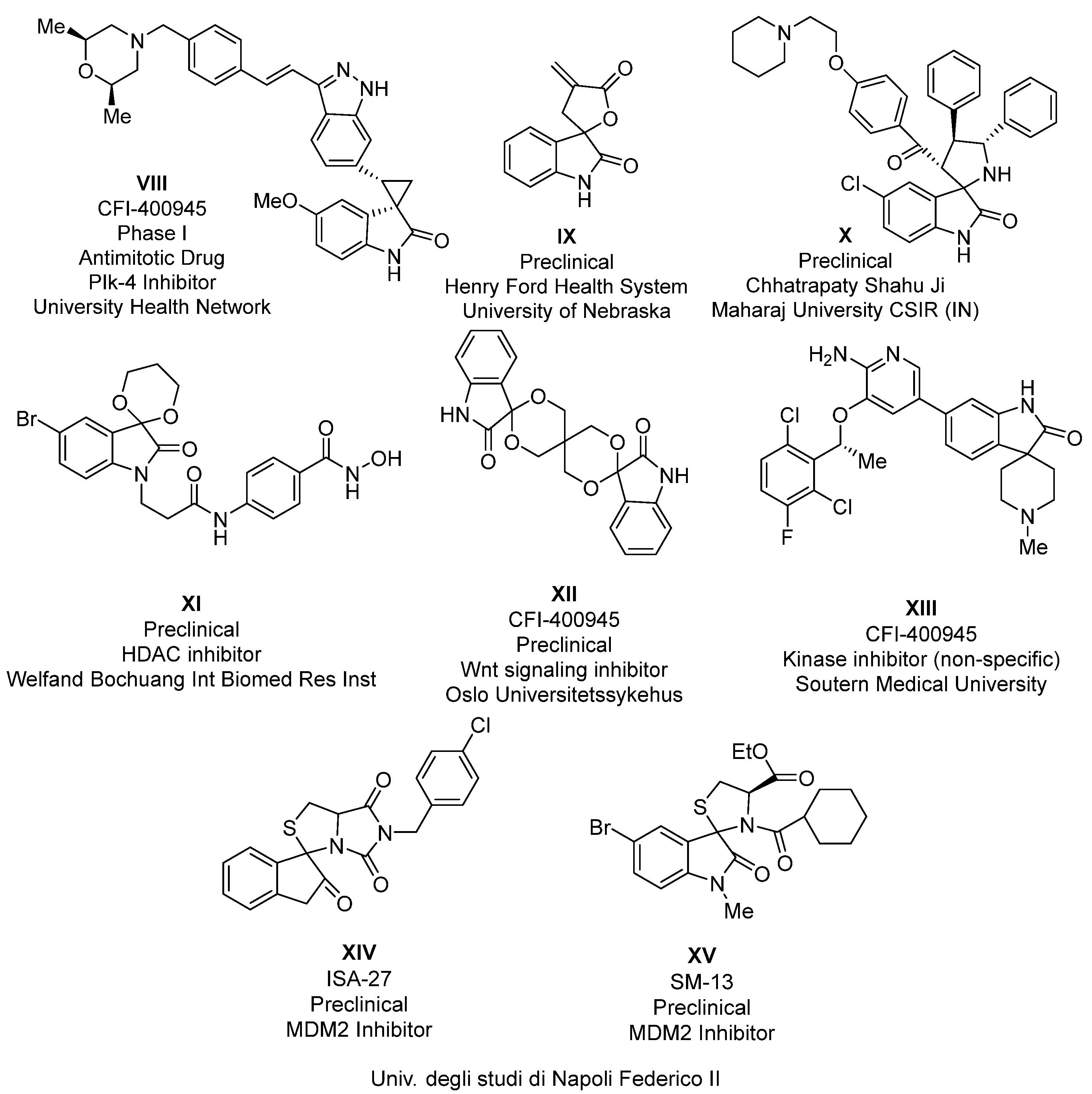 Molecules 28 01325 g002