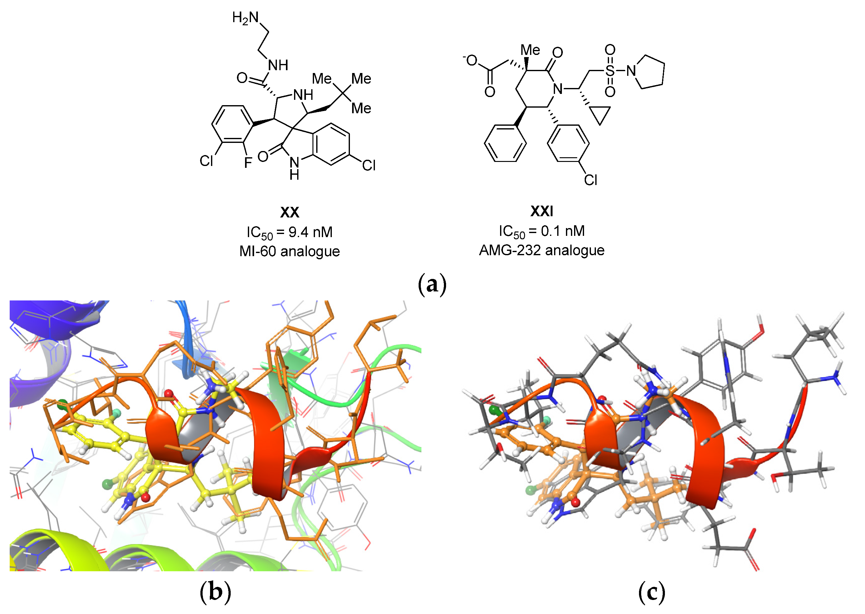 Molecules 28 01325 g005