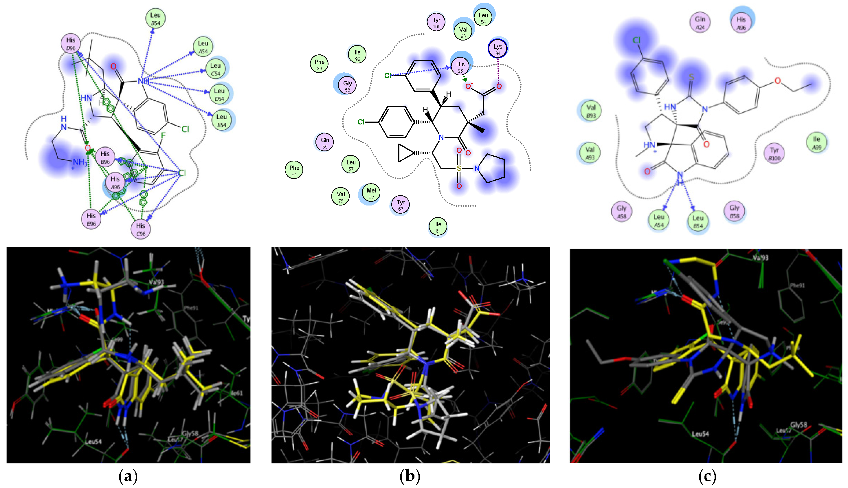 Molecules 28 01325 g006