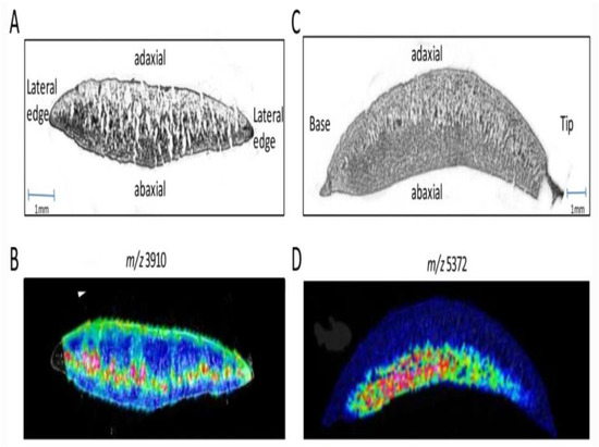 Molecules 28 01326 g002